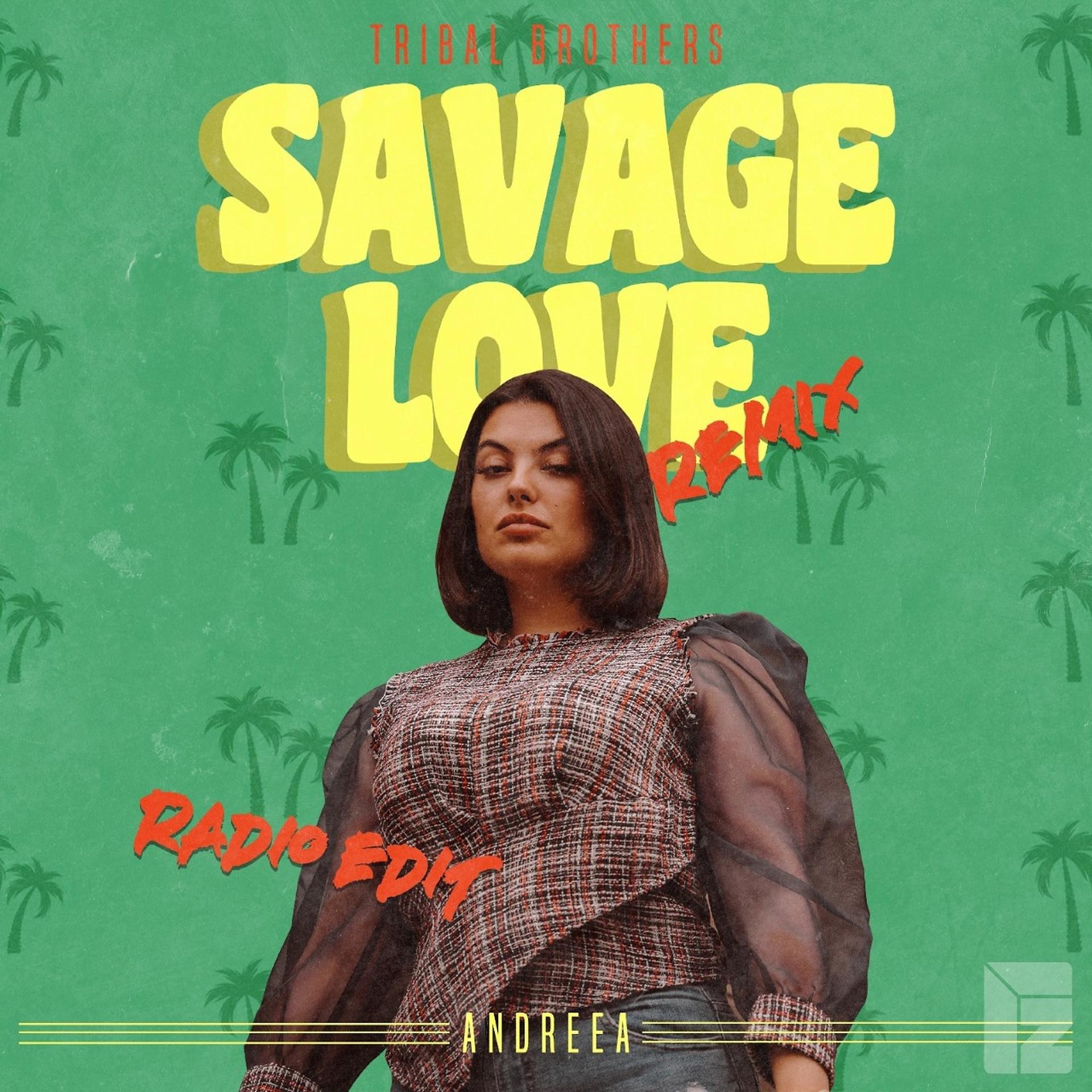 Постер альбома Savage Love (Remix - Radio Edit)