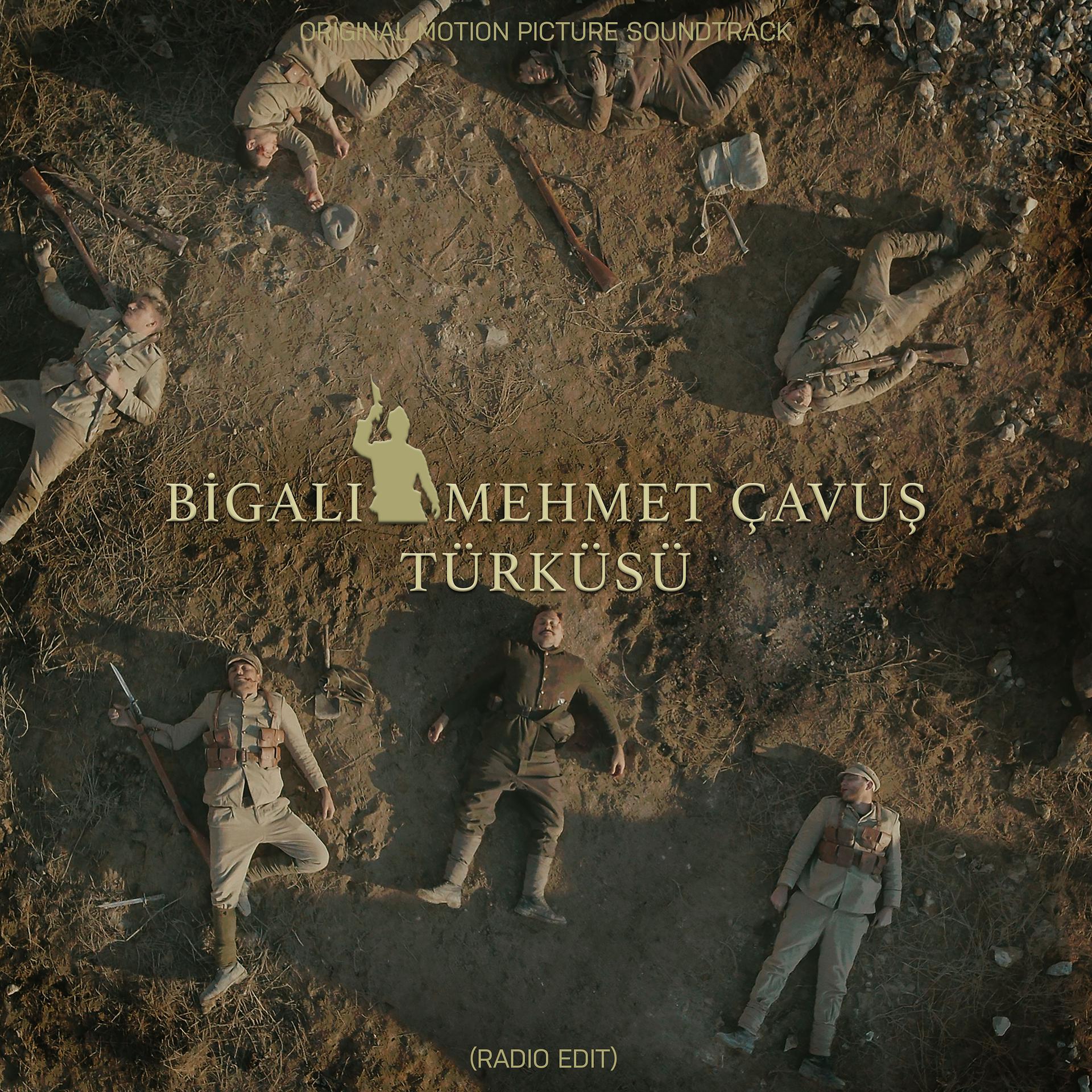 Постер альбома Bigalı Mehmet Çavuş Türküsü (Radio Edit)