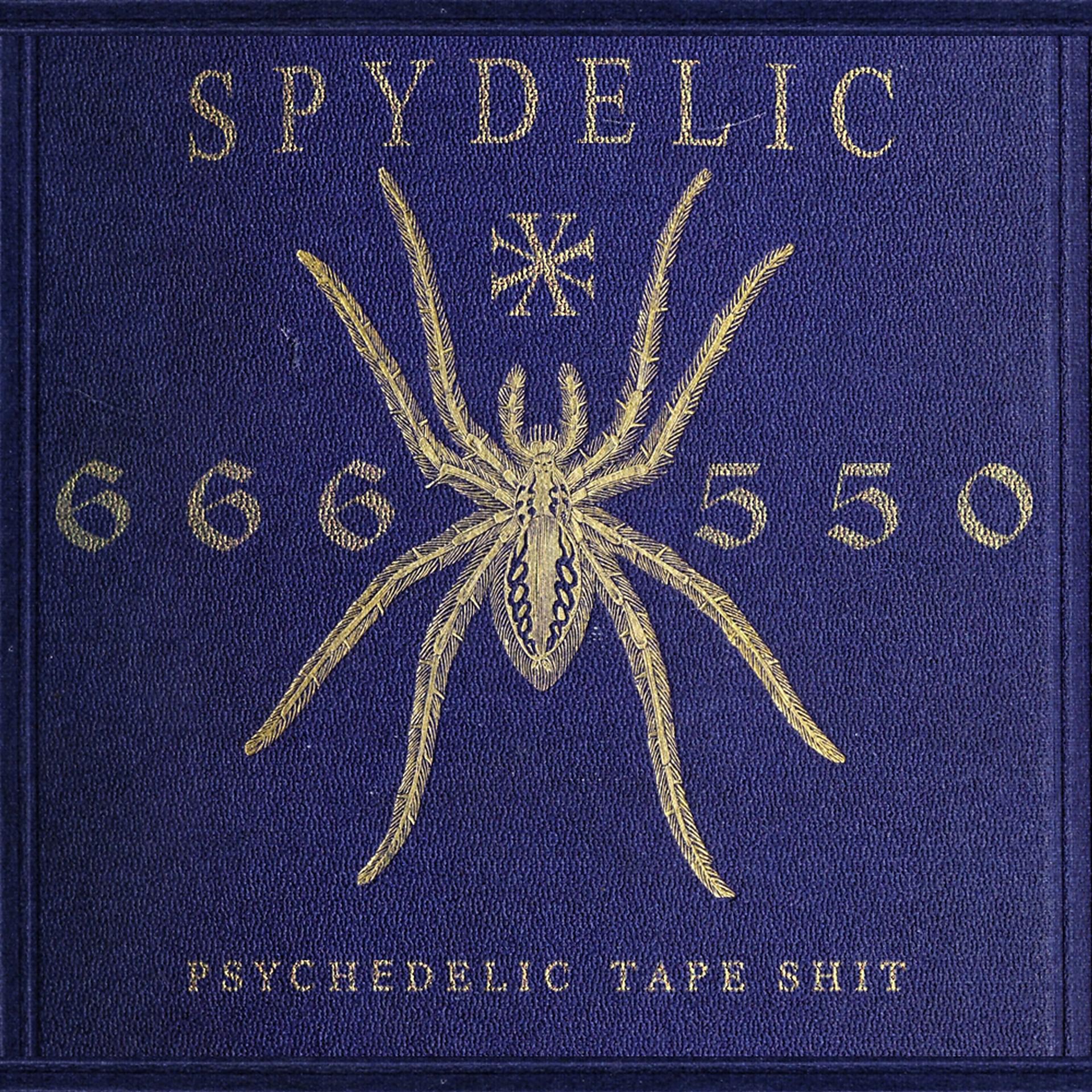 Постер альбома SPYDELIC