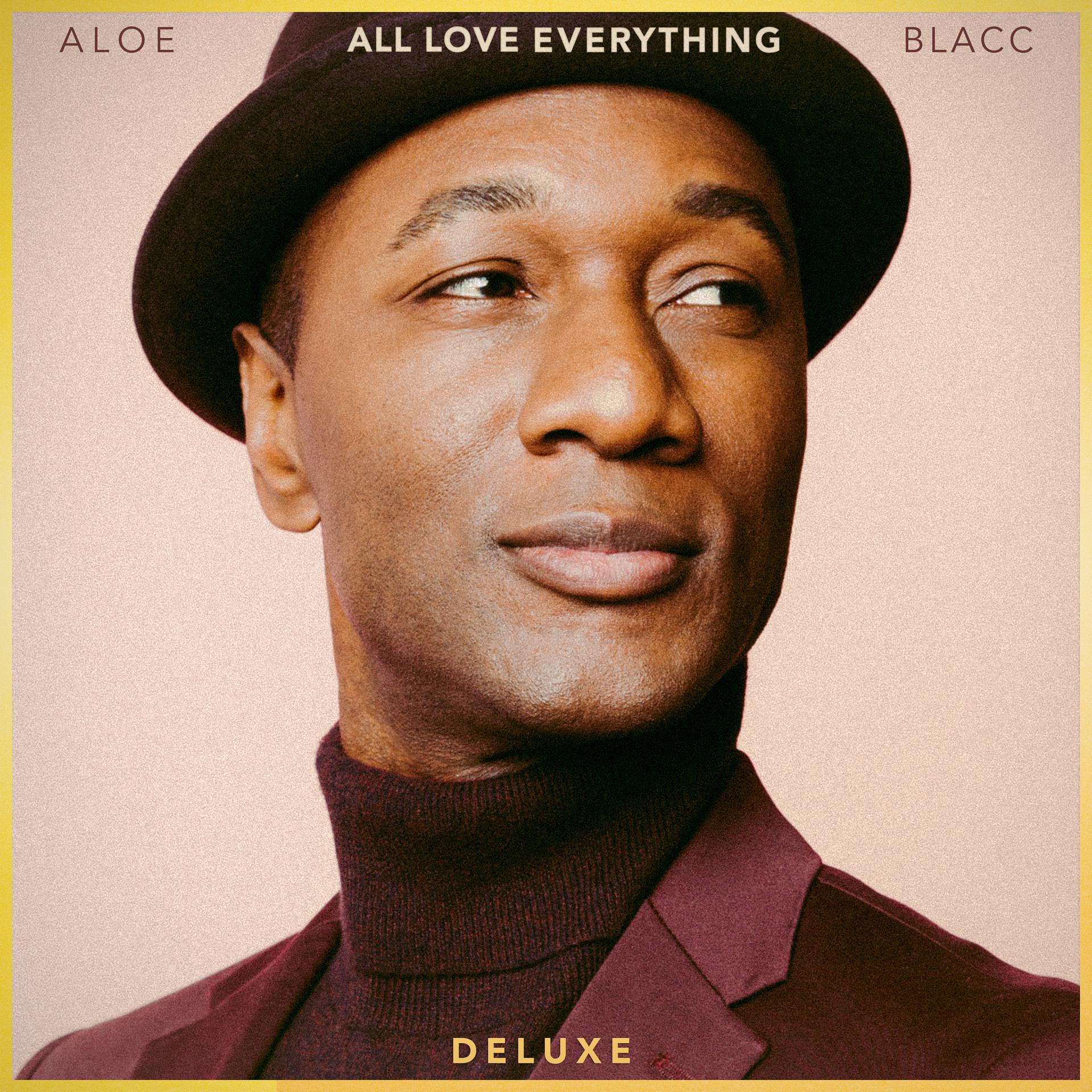 Постер альбома All Love Everything (Deluxe)
