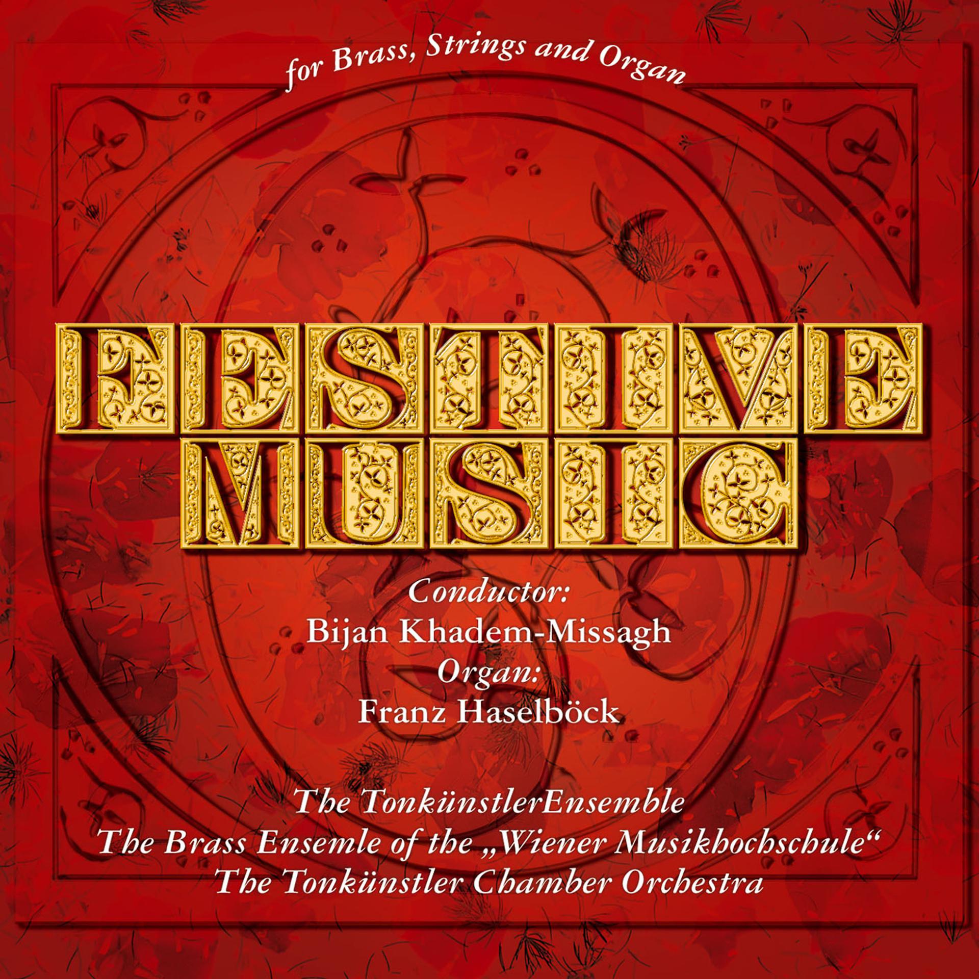 Постер альбома Festive Music for Brass, Strings and Organ, Werner Hackl