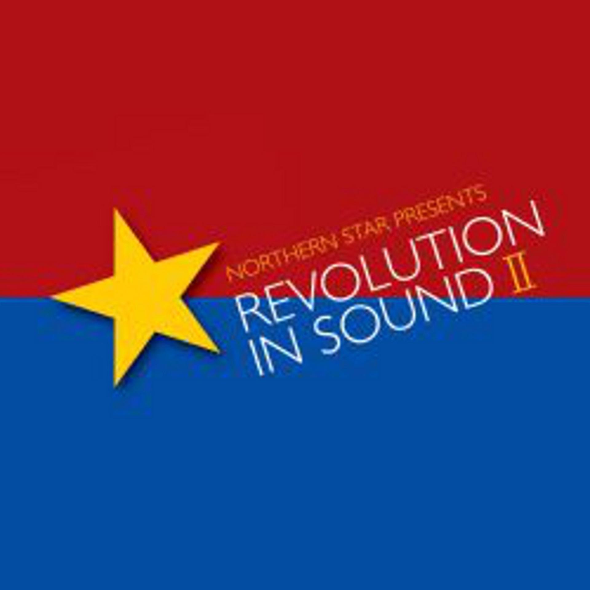Постер альбома Revolution In Sound II