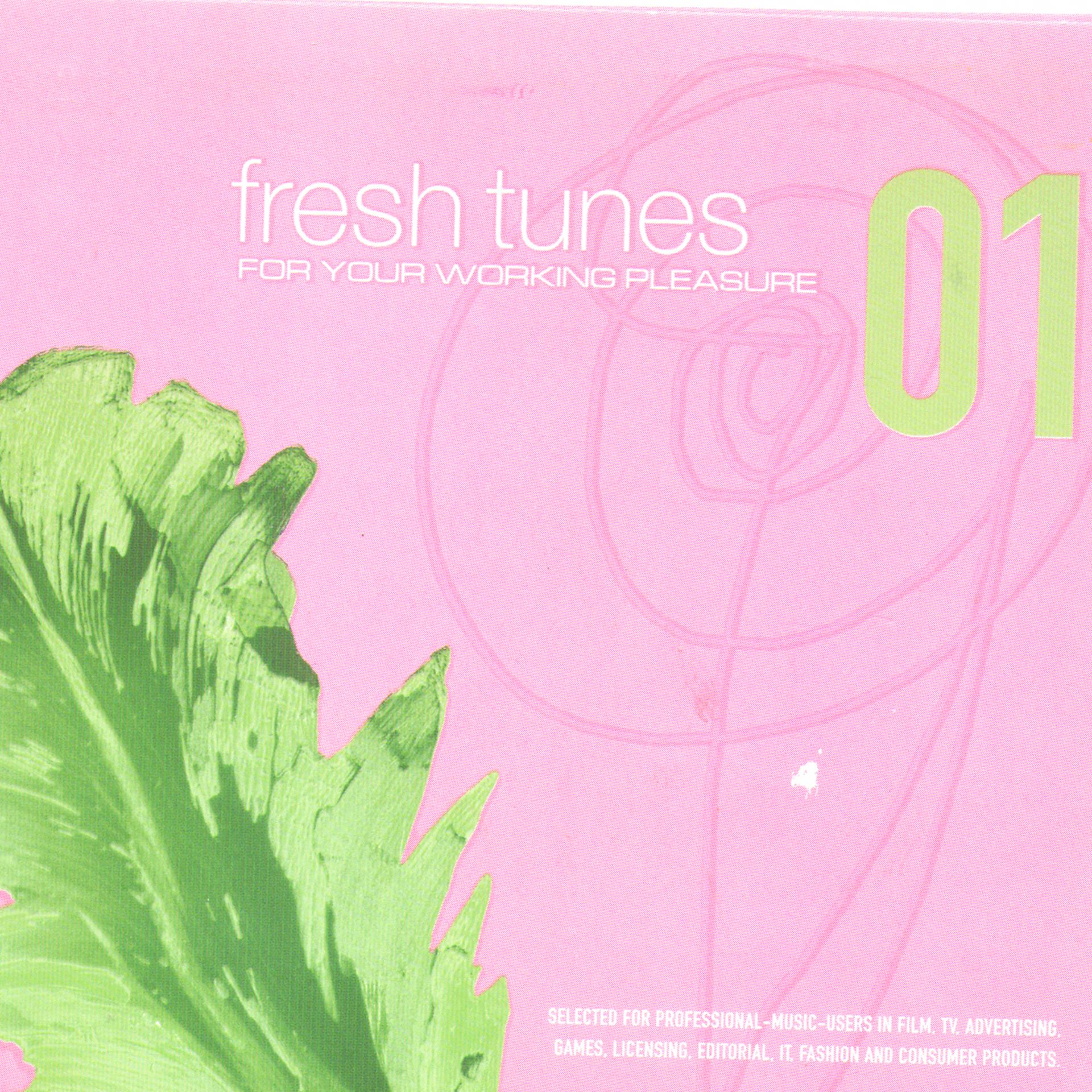 Постер альбома Fresh Tunes 01: For Your Working Pleasure