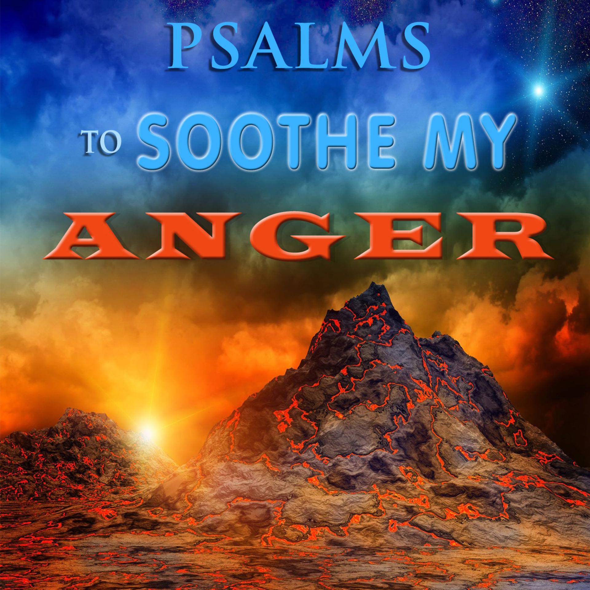 Постер альбома Psalms to Soothe My Anger