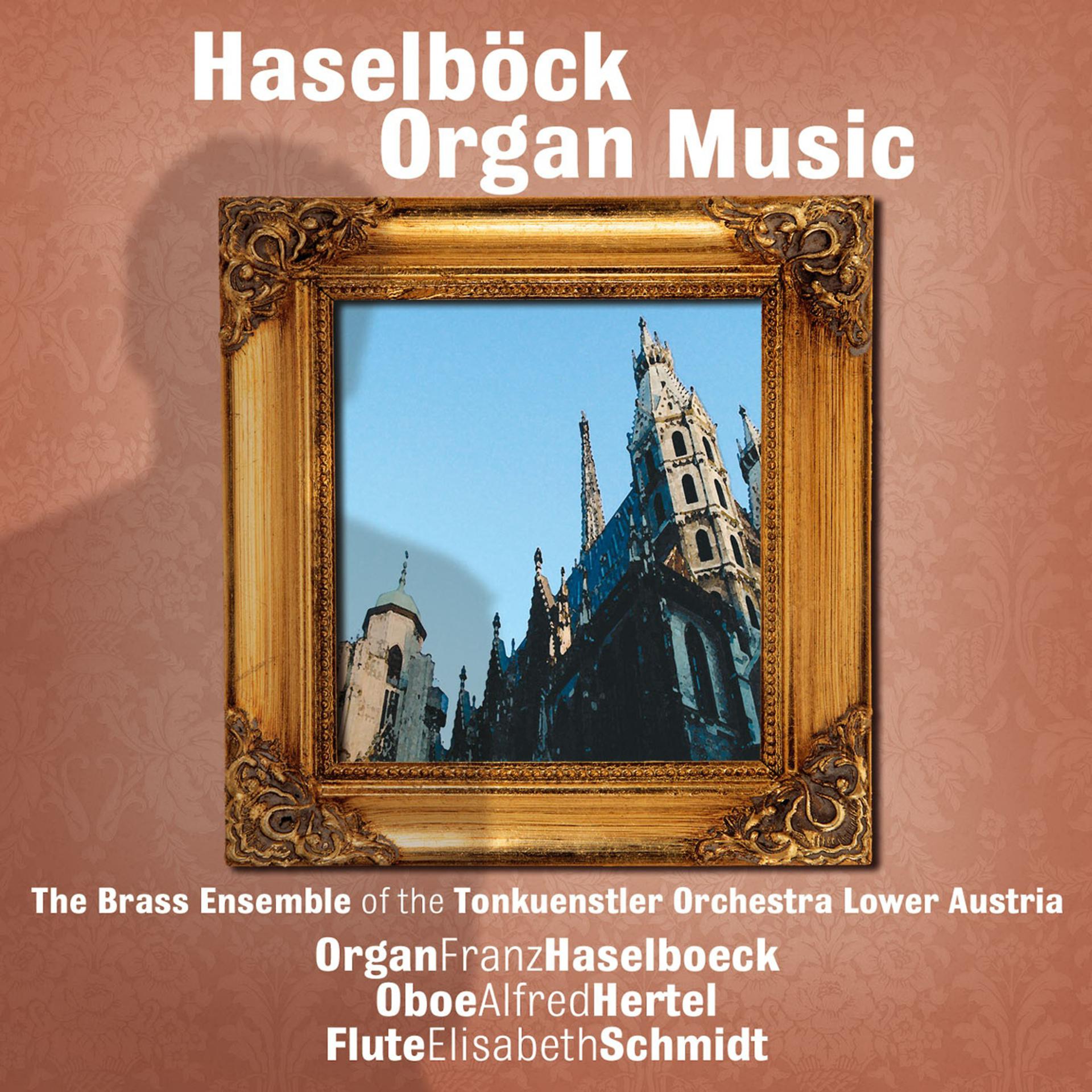Постер альбома Haselboeck – Organ Music