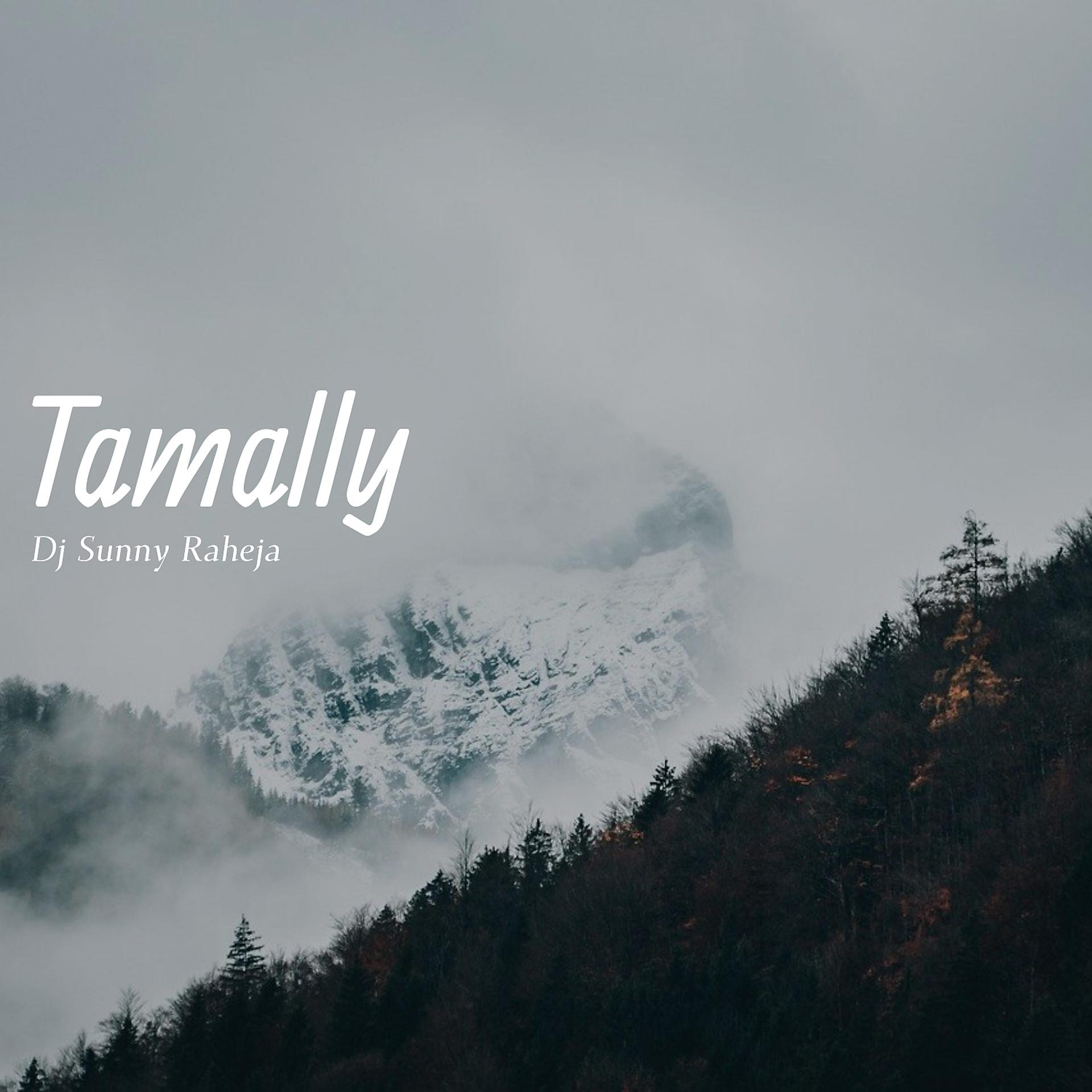 Постер альбома Tamally