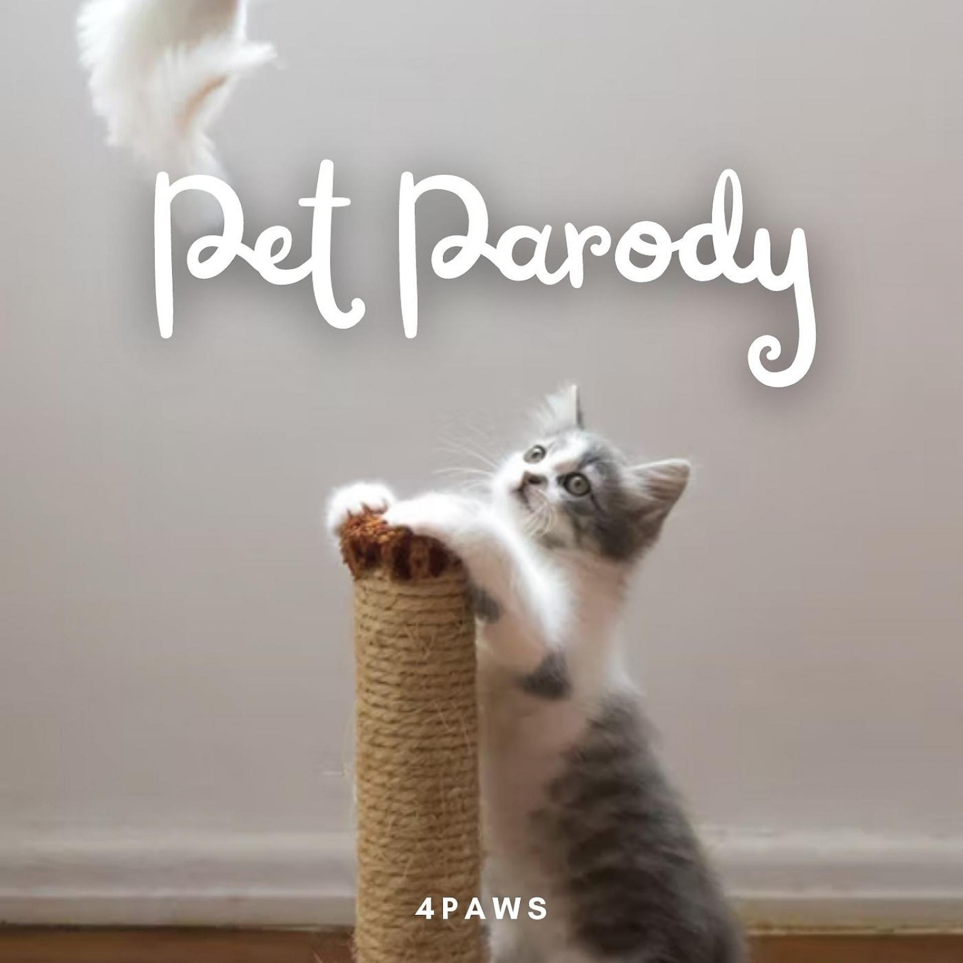 Постер альбома 4Paws: Pet Parody