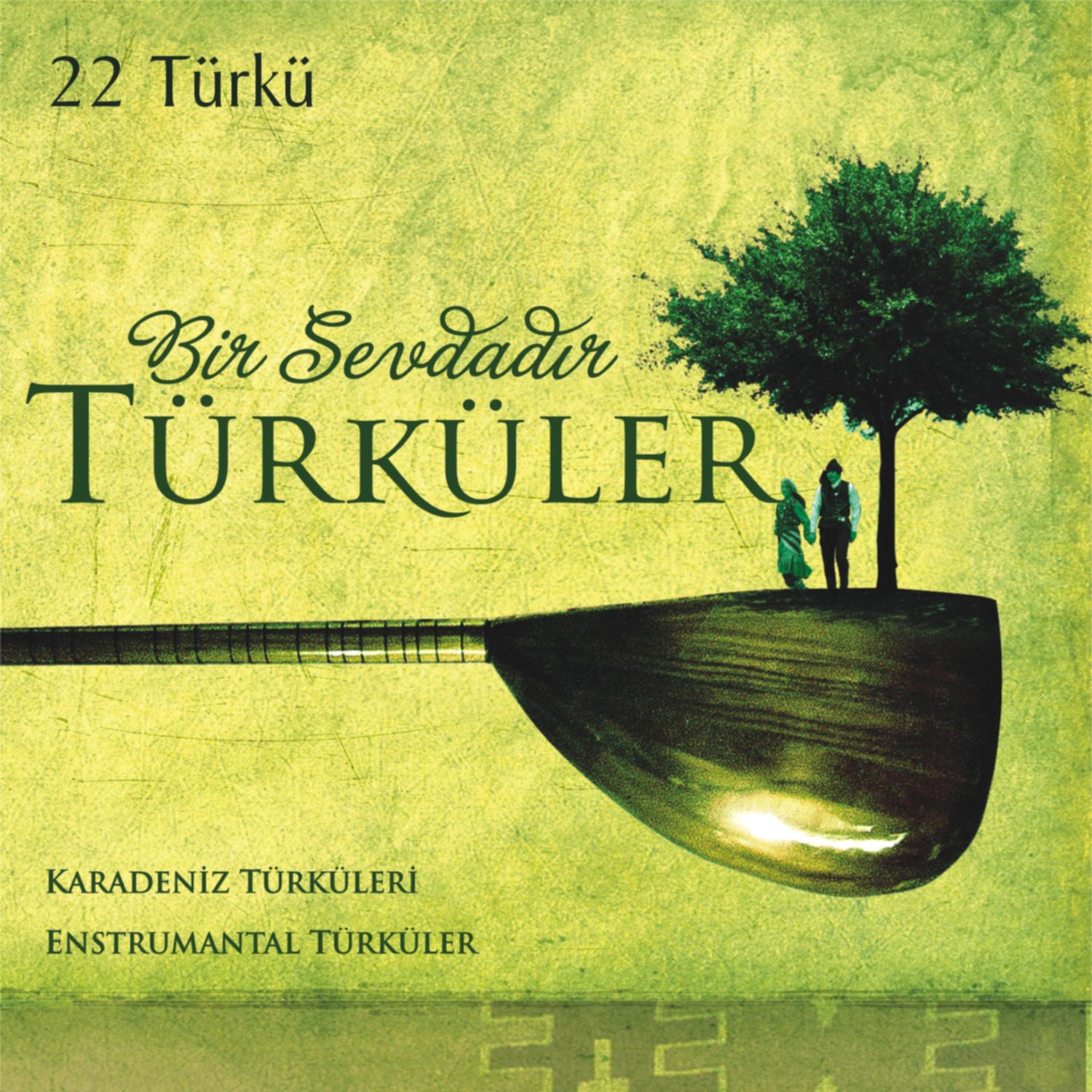 Постер альбома Bir Sevdadır Türküler: Karadeniz Türküleri