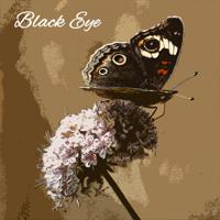 Постер альбома Black Eye