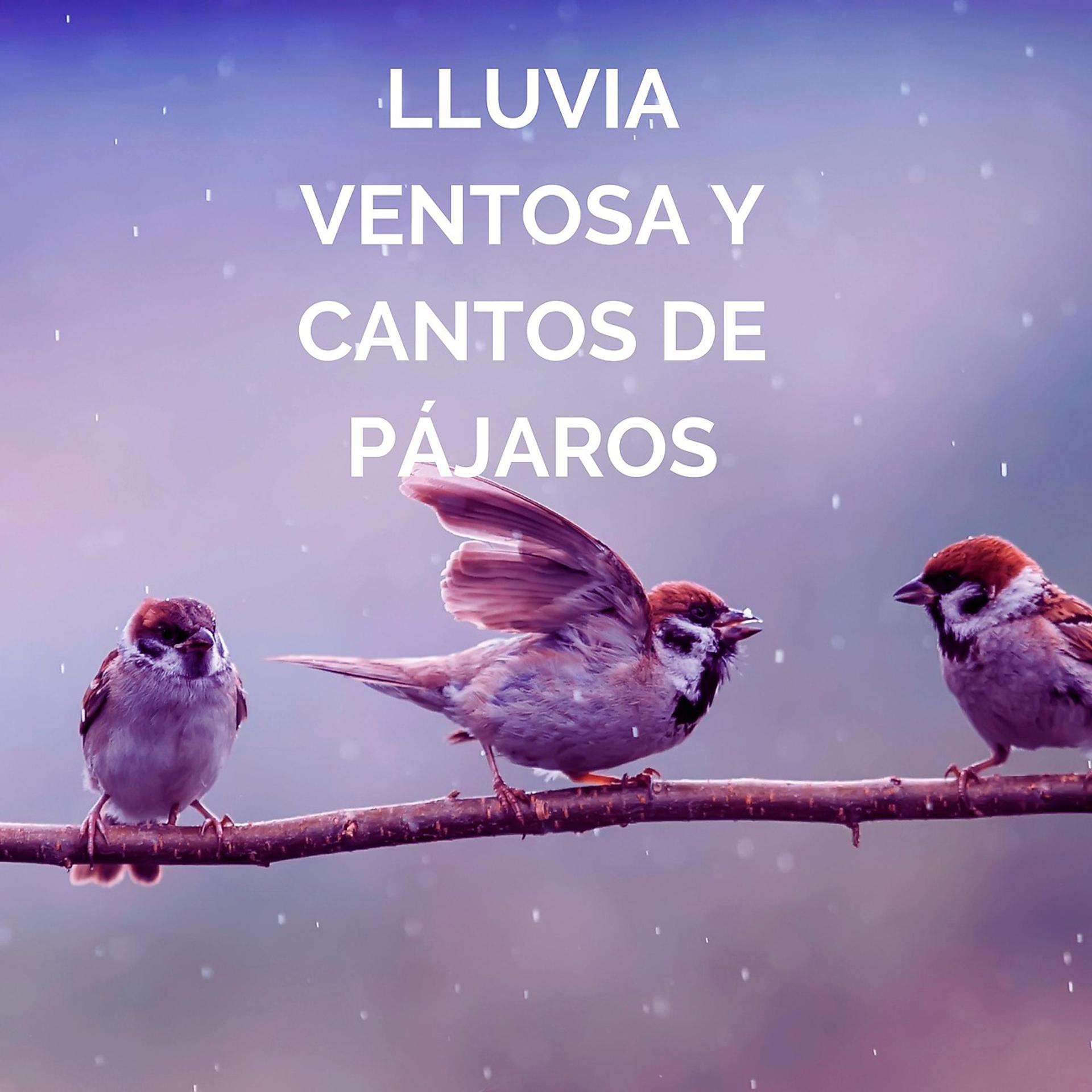 Постер альбома Lluvia Ventosa Y Cantos De Pájaros