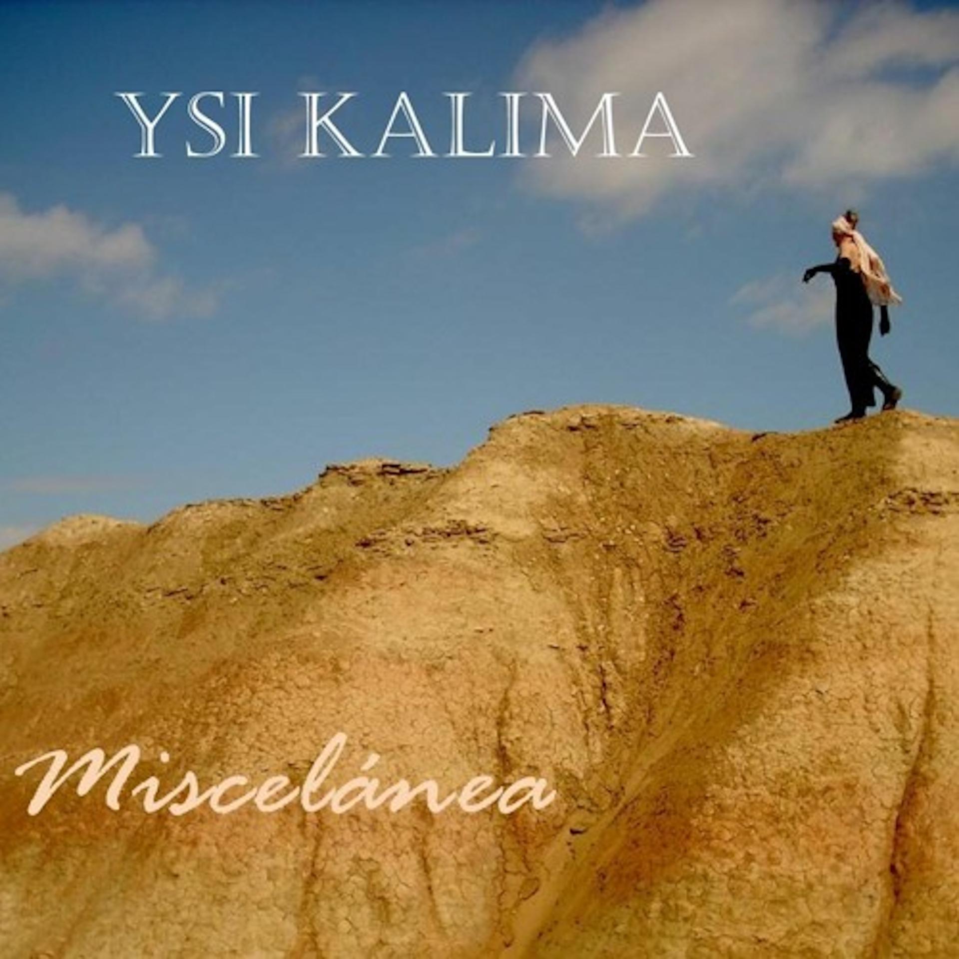 Постер альбома Miscelánea
