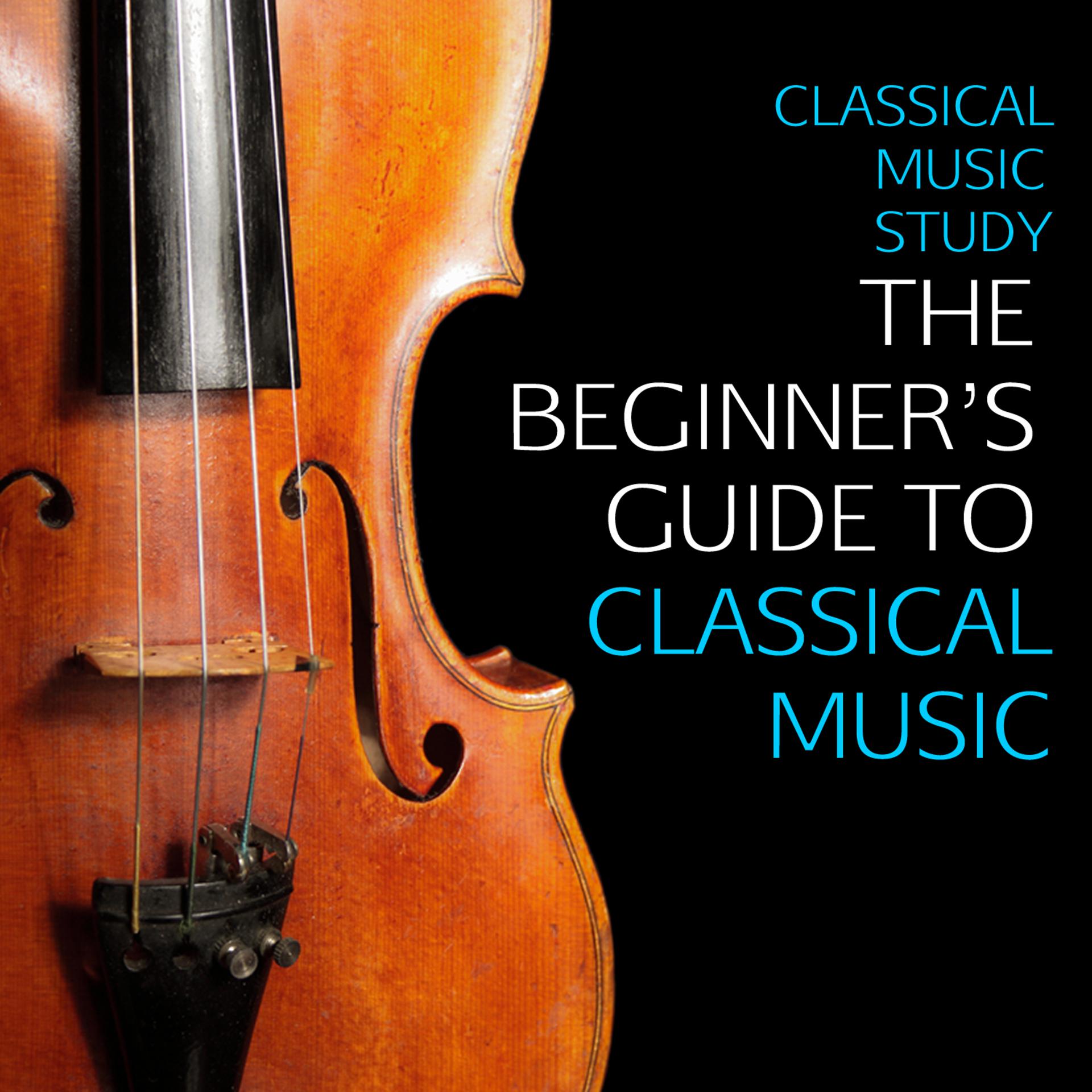 Постер альбома Classical Music Study: The Beginner's Guide to Classical Music, The Very Best Classical Music For Beginners - Mozart, Beethoven, Bach, Chopin & More!
