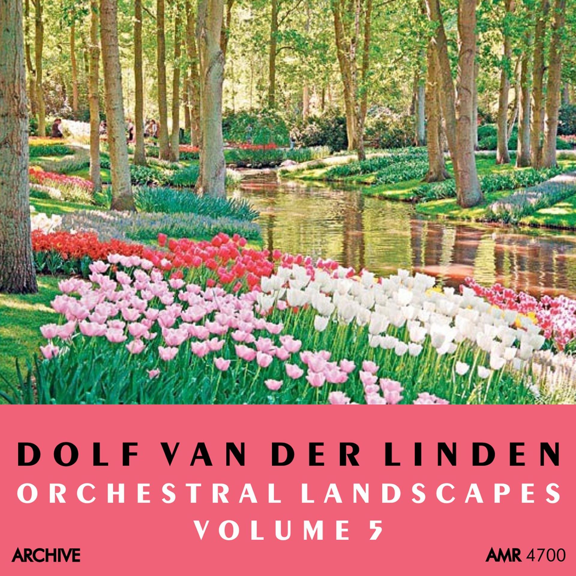 Постер альбома Orchestral Landscapes Volume 5
