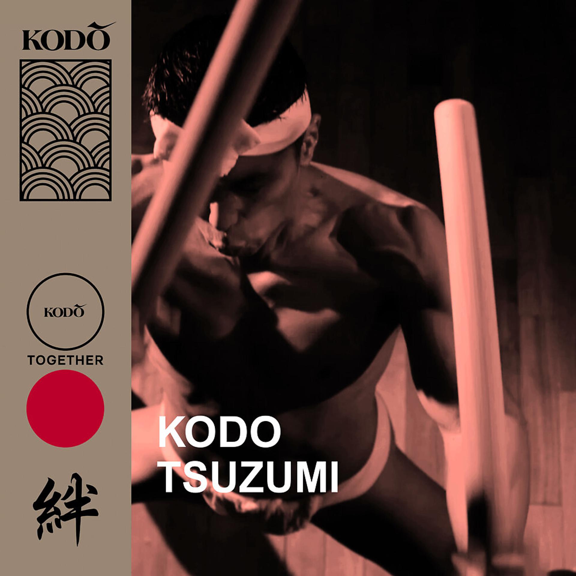 Постер альбома Tsuzumi
