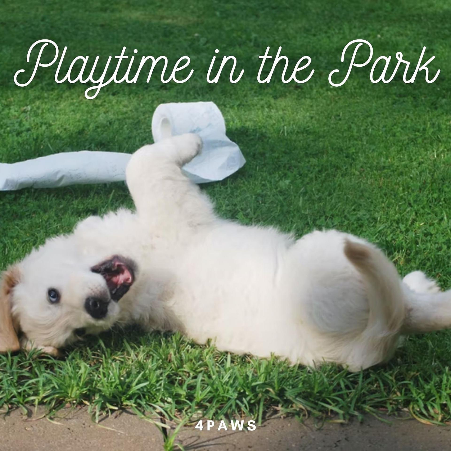 Постер альбома 4Paws: Playtime in the Park