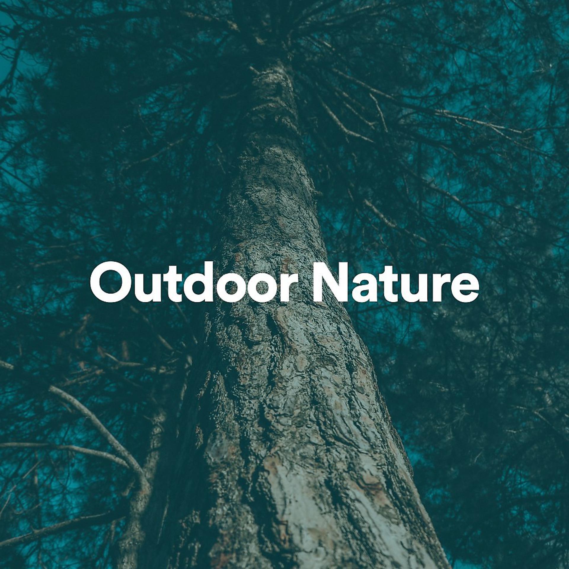 Постер альбома Outdoor Nature