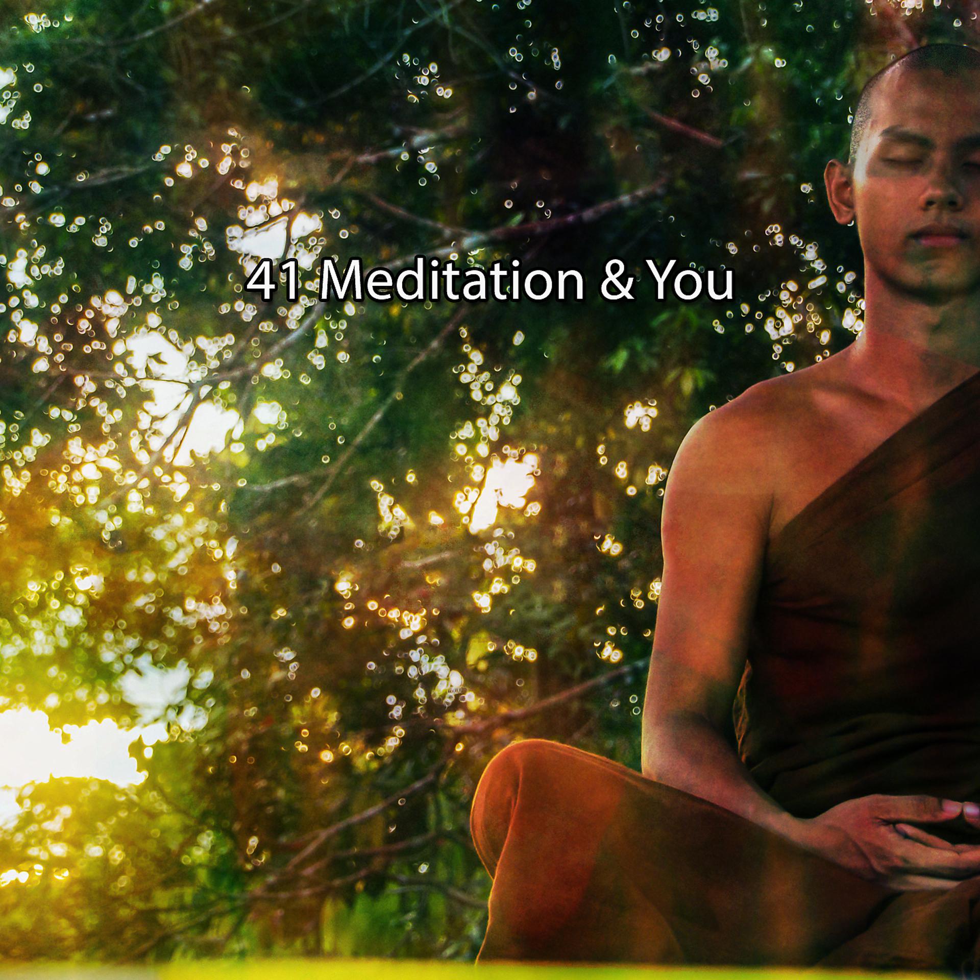 Постер альбома !!!! 41 Медитация и ты !!!!