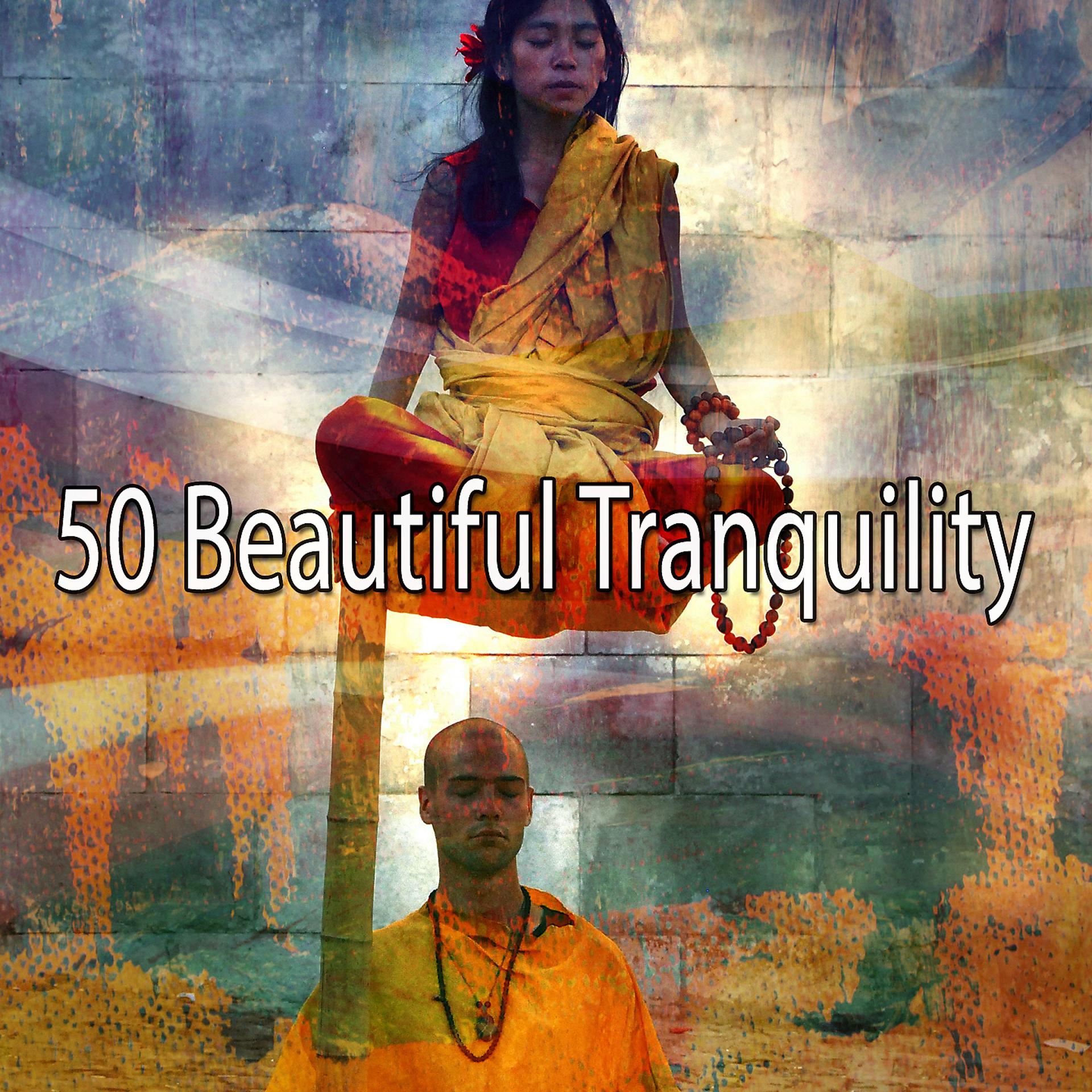 Постер альбома 50 Прекрасное спокойствие