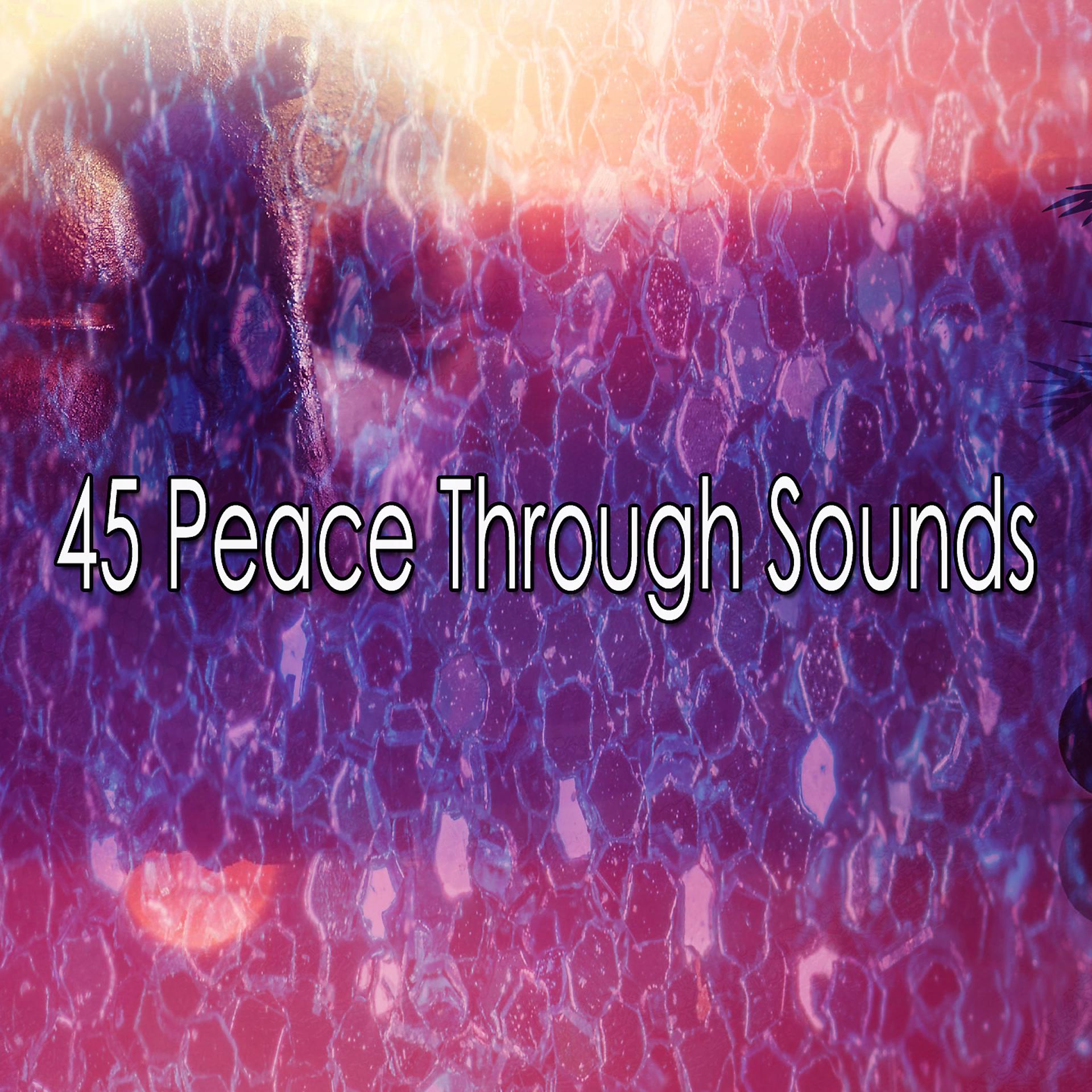 Постер альбома 45 Мир через звуки