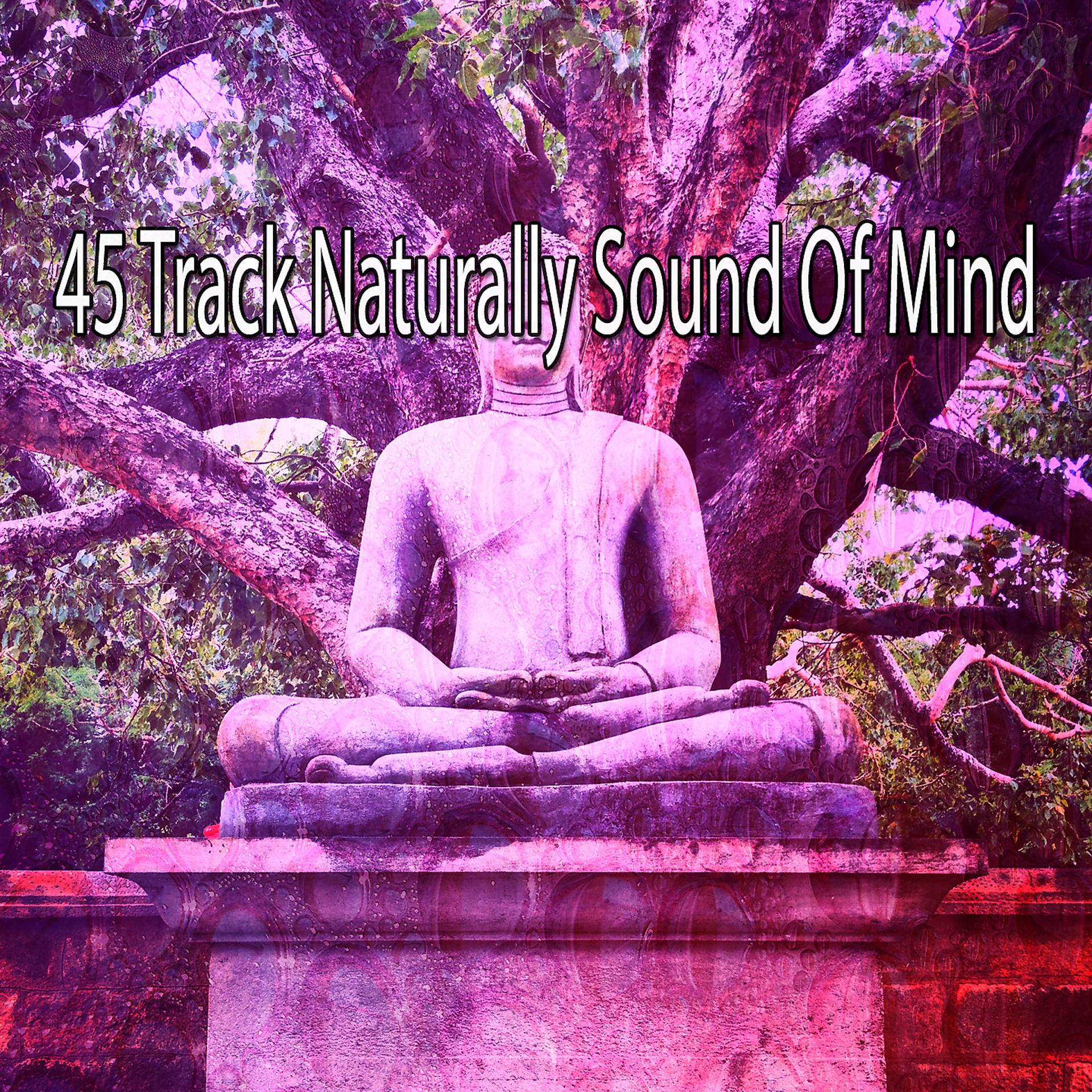 Постер альбома 45 треков Naturally Sound Of Mind