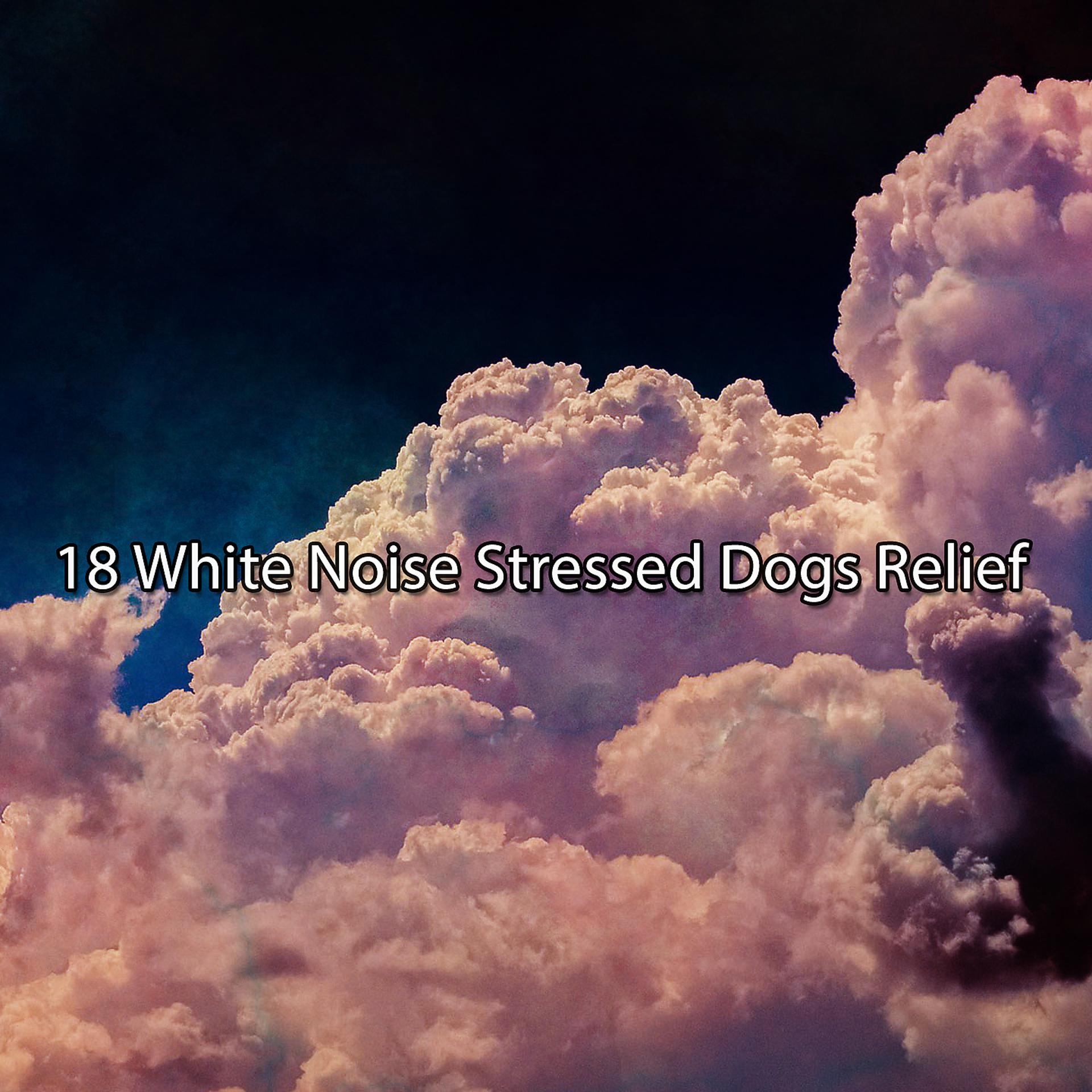 Постер альбома !!!! 18. Белая шумовая помощь собакам, страдающим стрессом !!!!