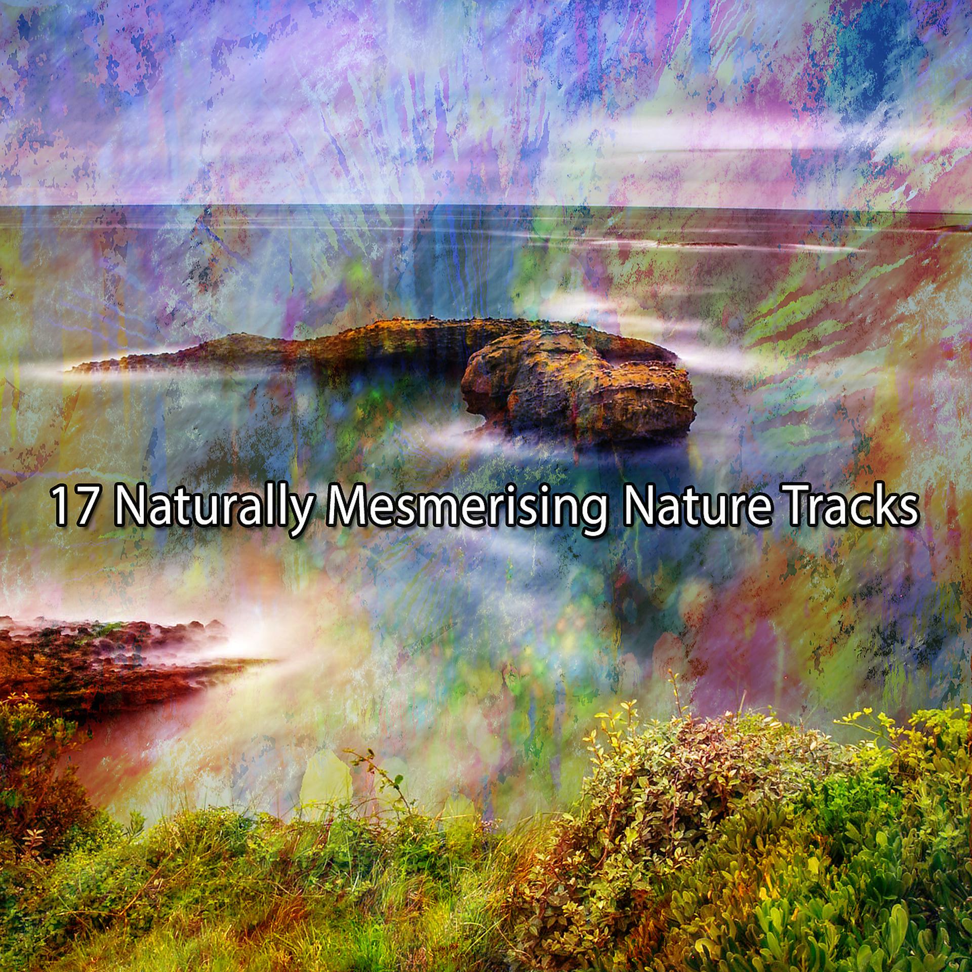 Постер альбома !!!! 17 естественно завораживающих природных треков !!!!
