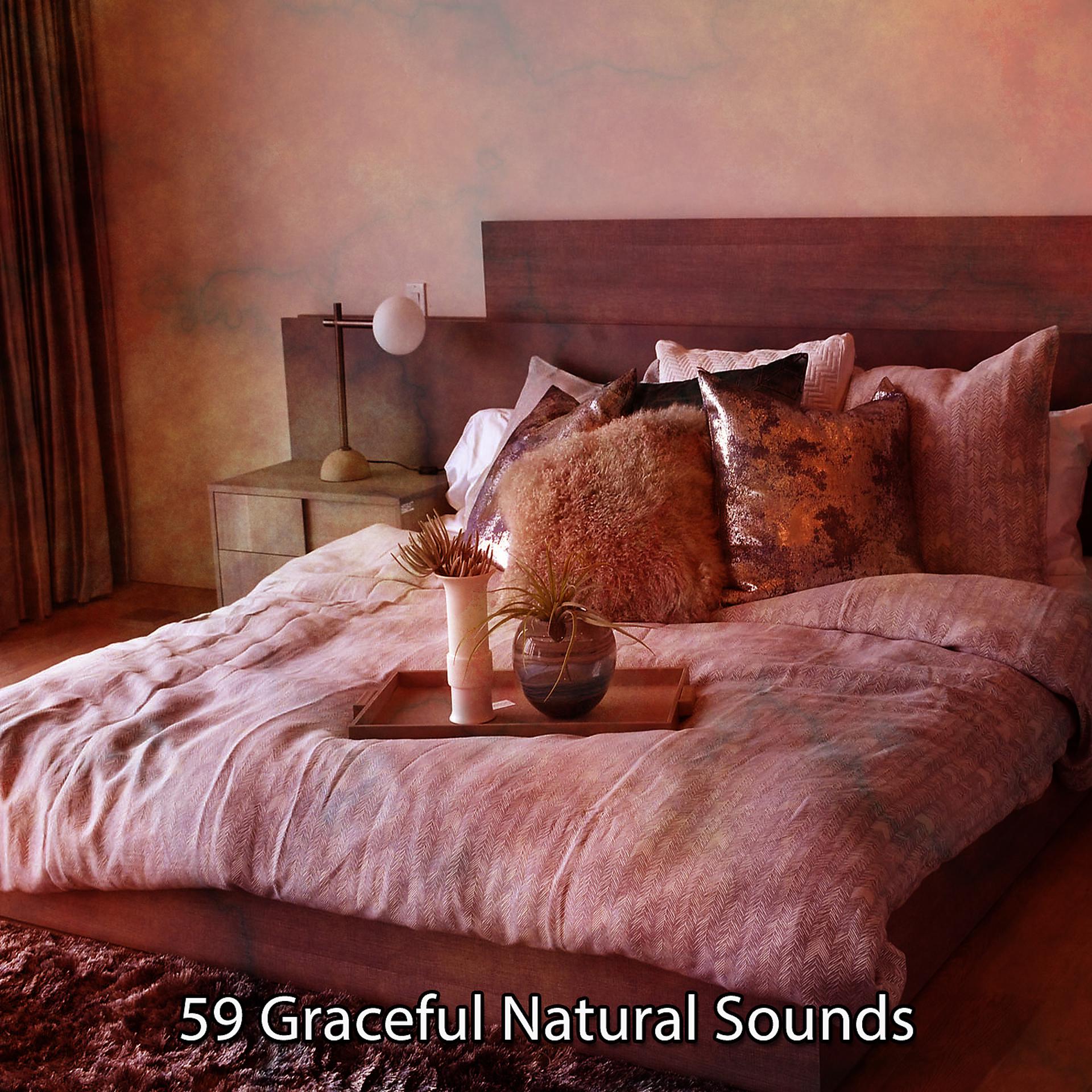 Постер альбома 59 изящных природных звуков
