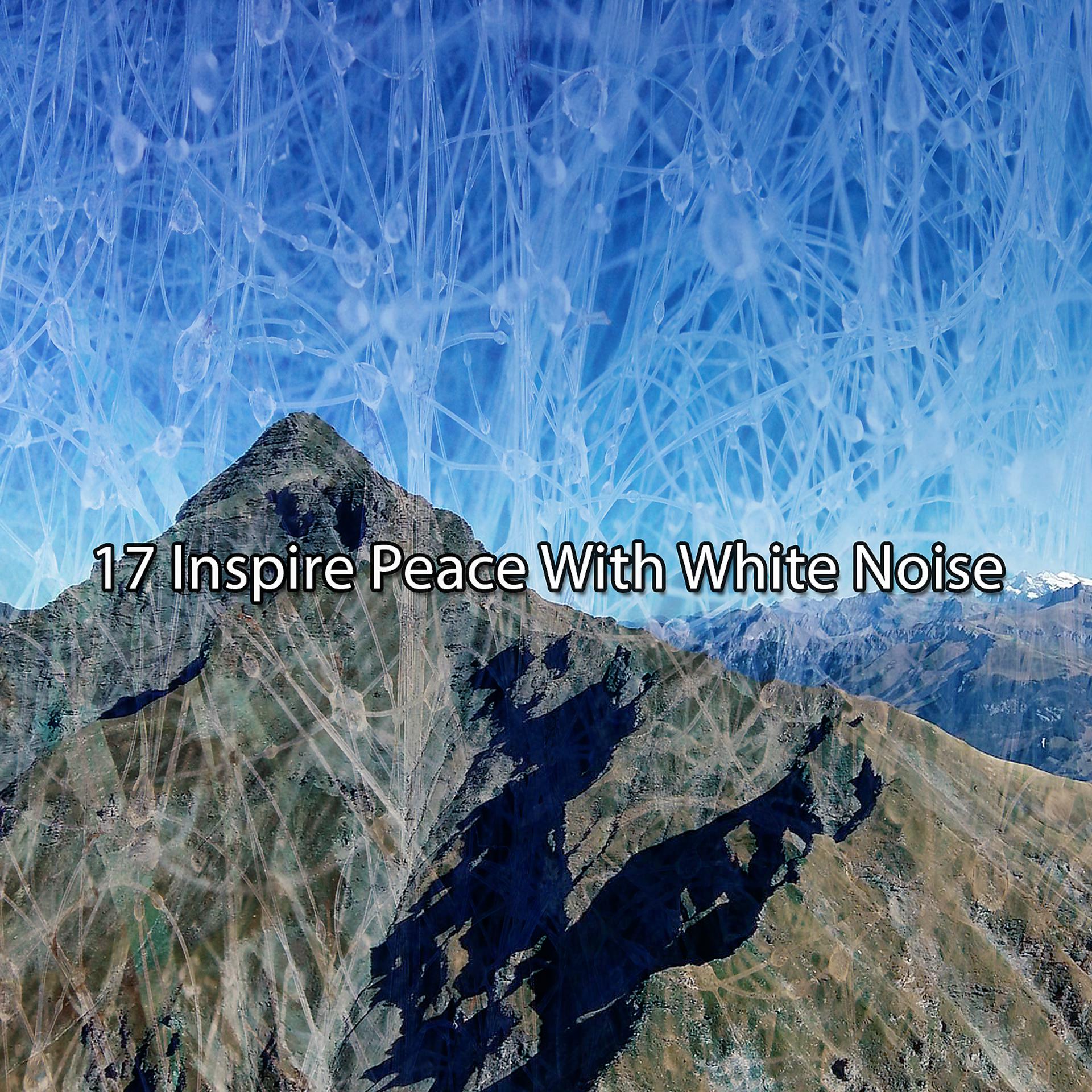 Постер альбома 17 Inspire Peace With White Noise