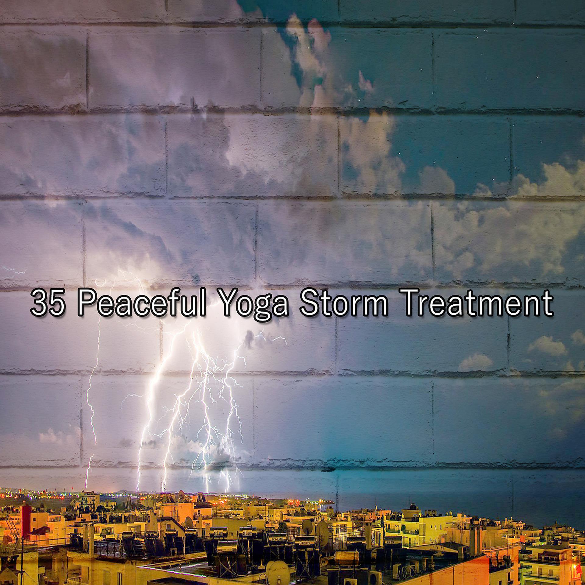 Постер альбома 35 Процедура «Мирная йога-шторм»