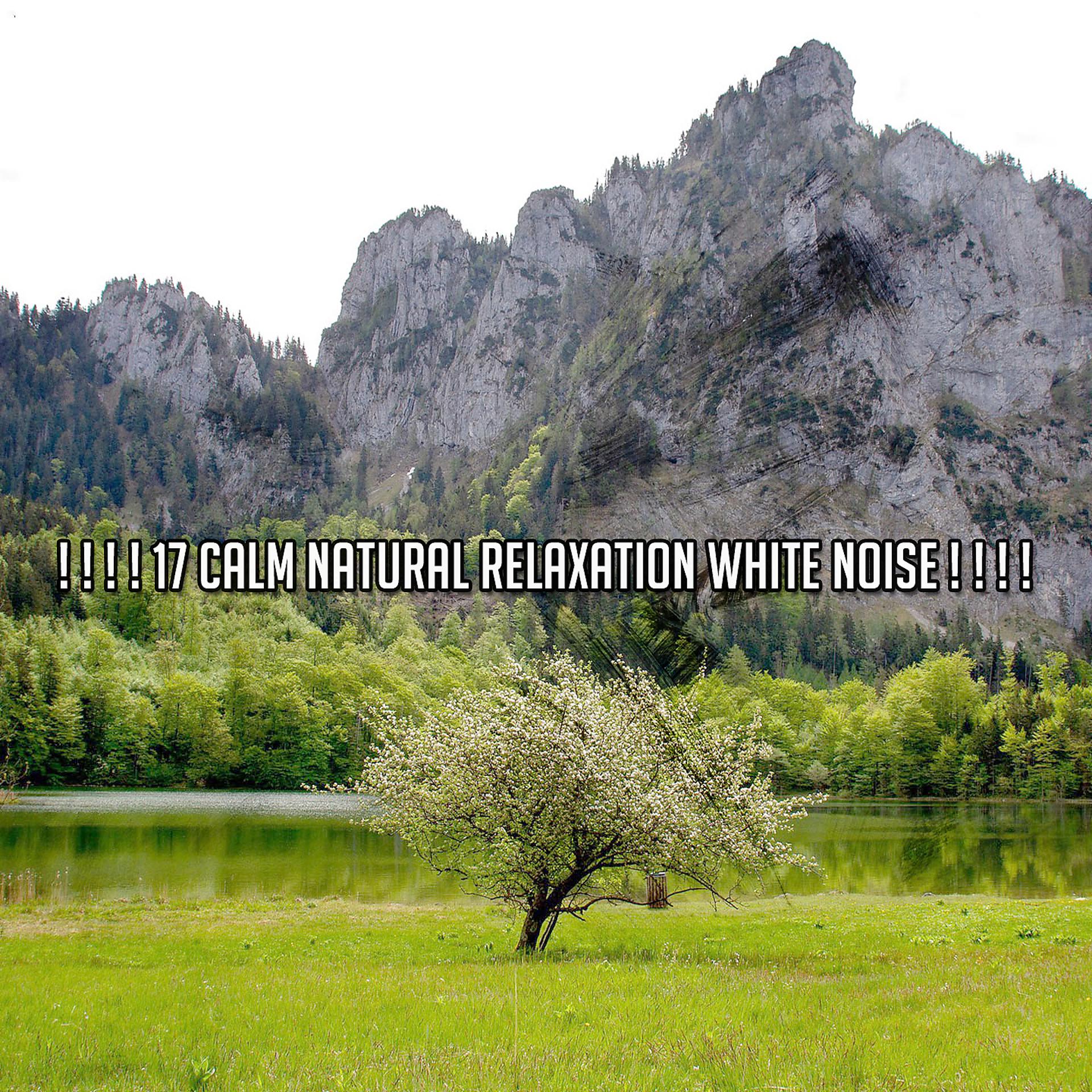 Постер альбома ! ! ! ! 17 Спокойная естественная релаксация Белый шум! ! ! !