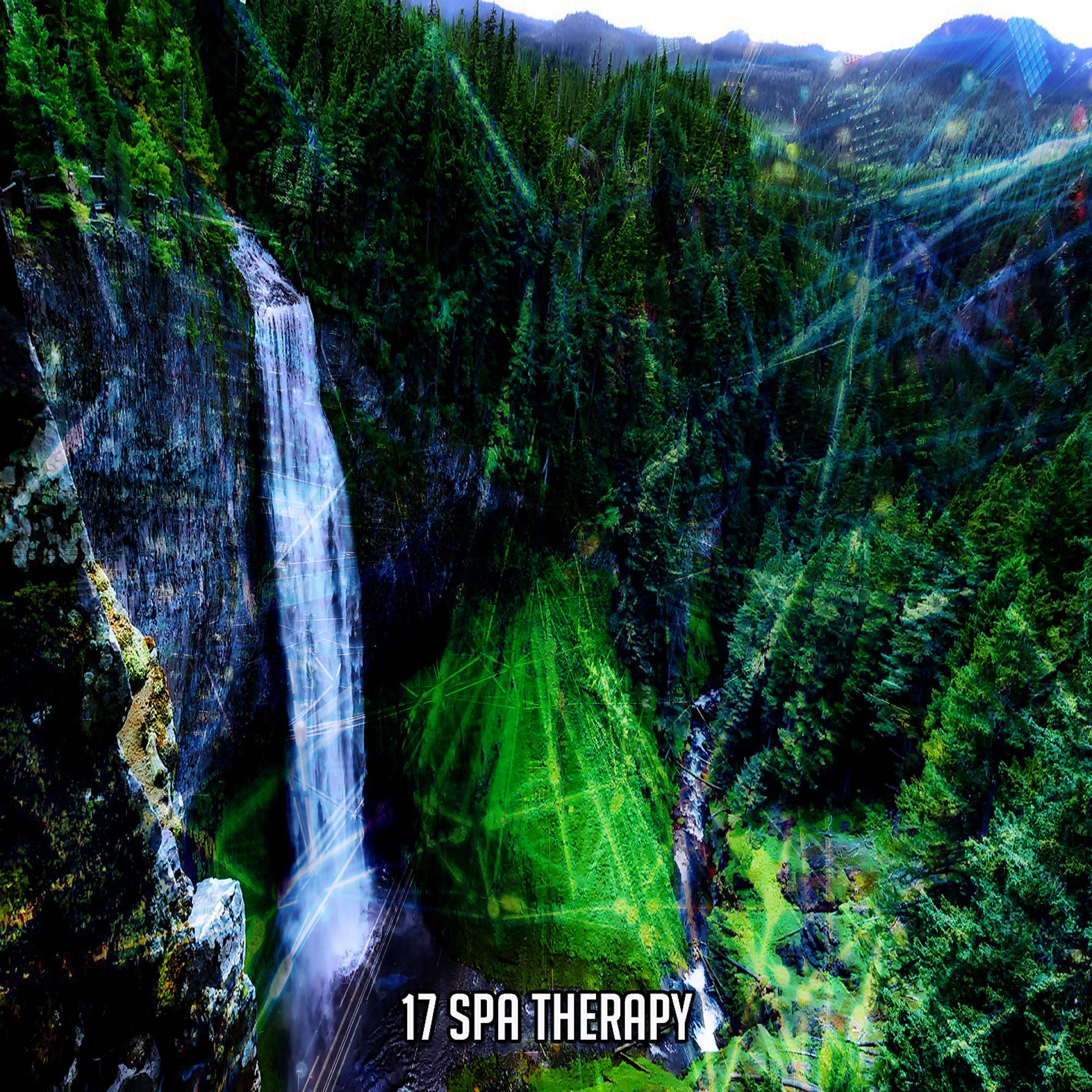 Постер альбома 17 Spa Therapy