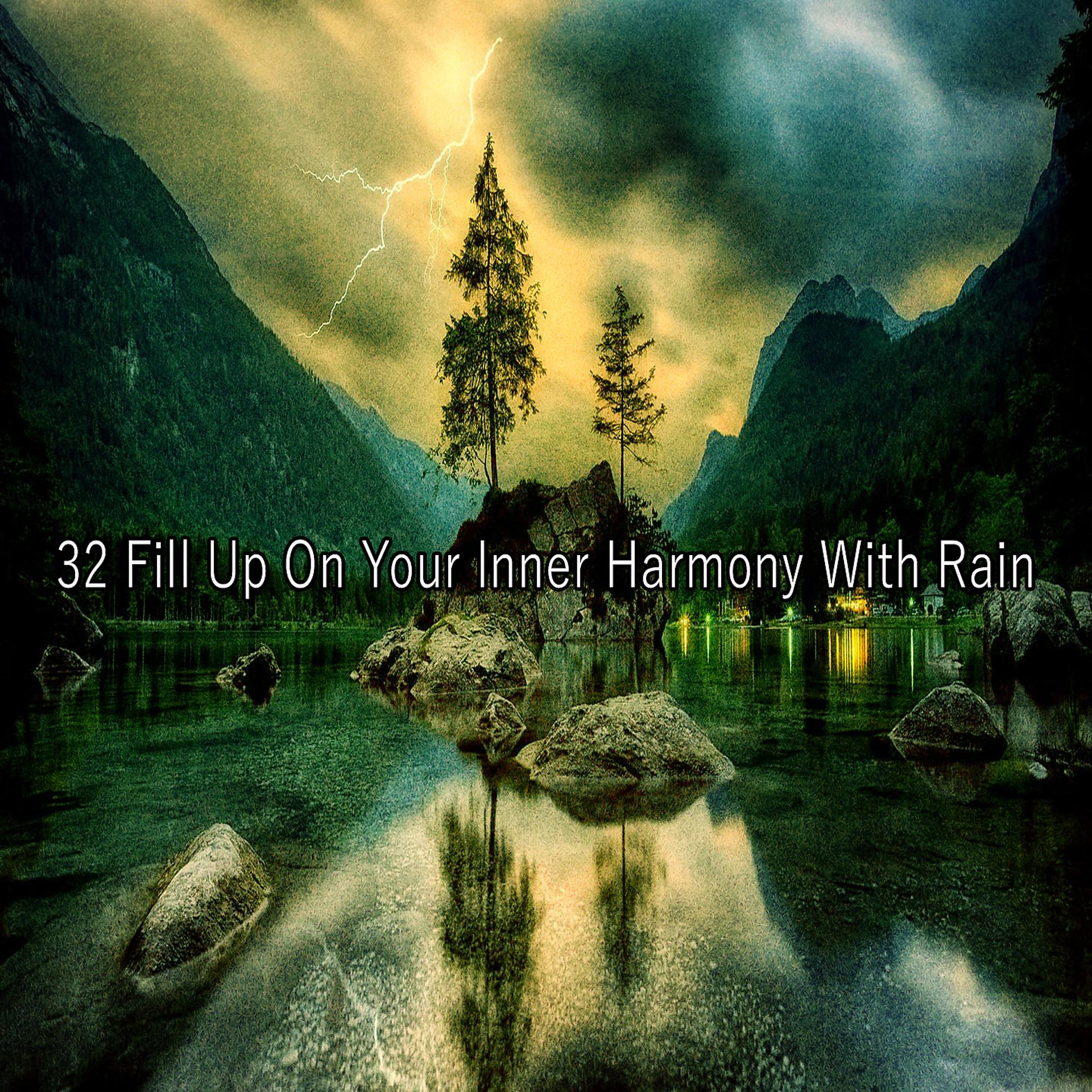 Постер альбома !!!! 32 Наполните свою внутреннюю гармонию дождем !!!!