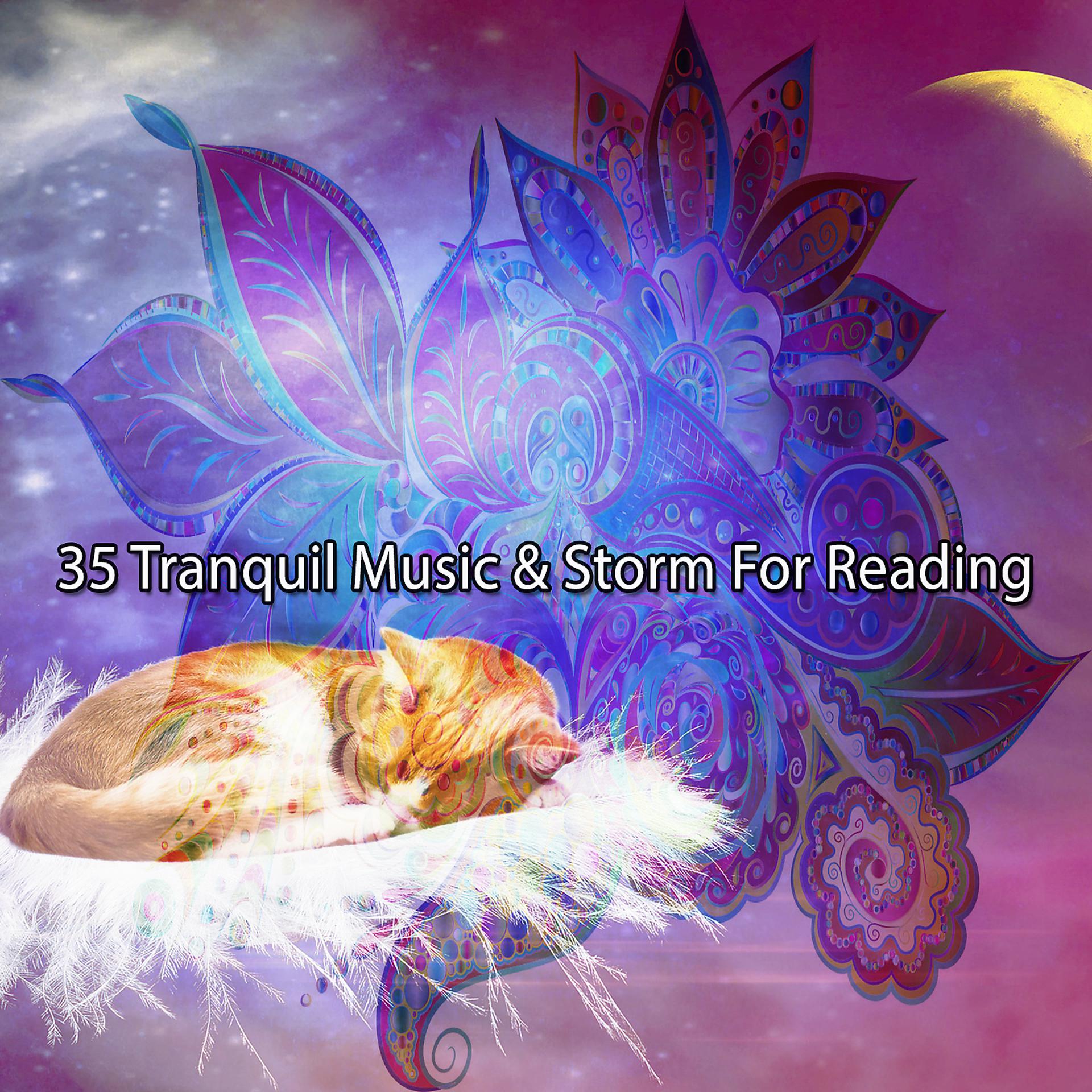 Постер альбома 35 Спокойная музыка и буря для чтения