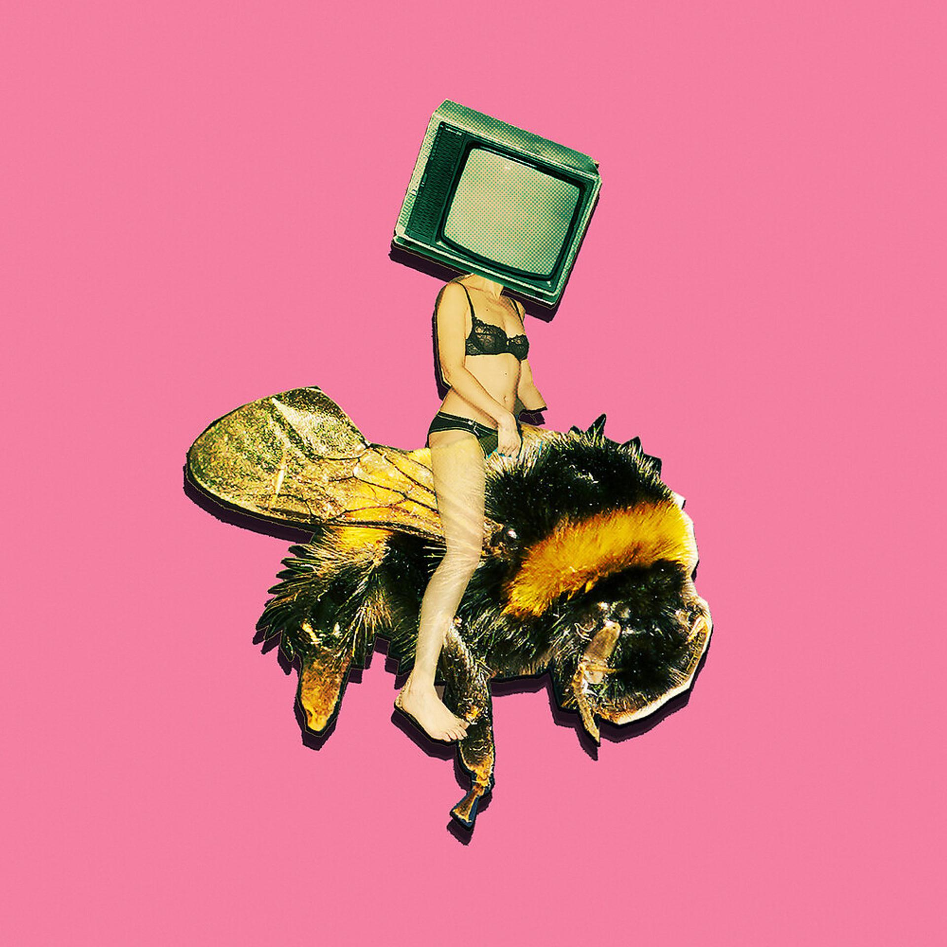 Постер альбома Pollinator