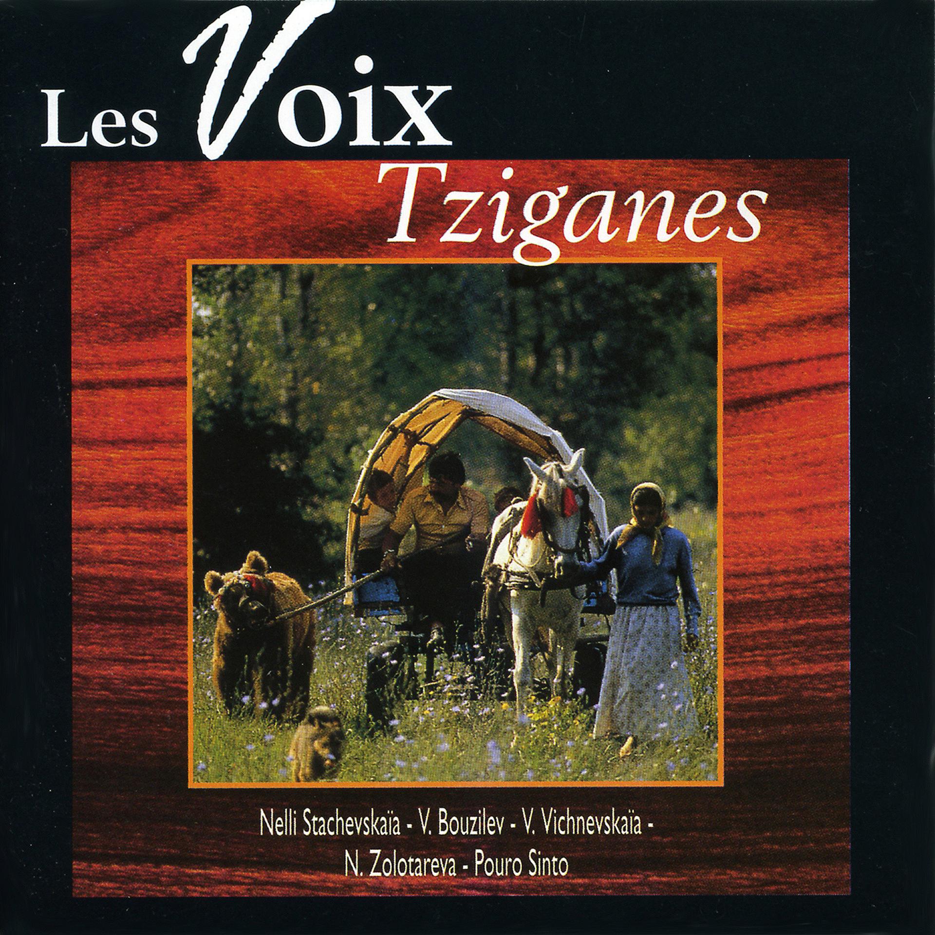 Постер альбома Gipsy World Vol. 1: The Best Of Voices (Les Voix Tziganes)