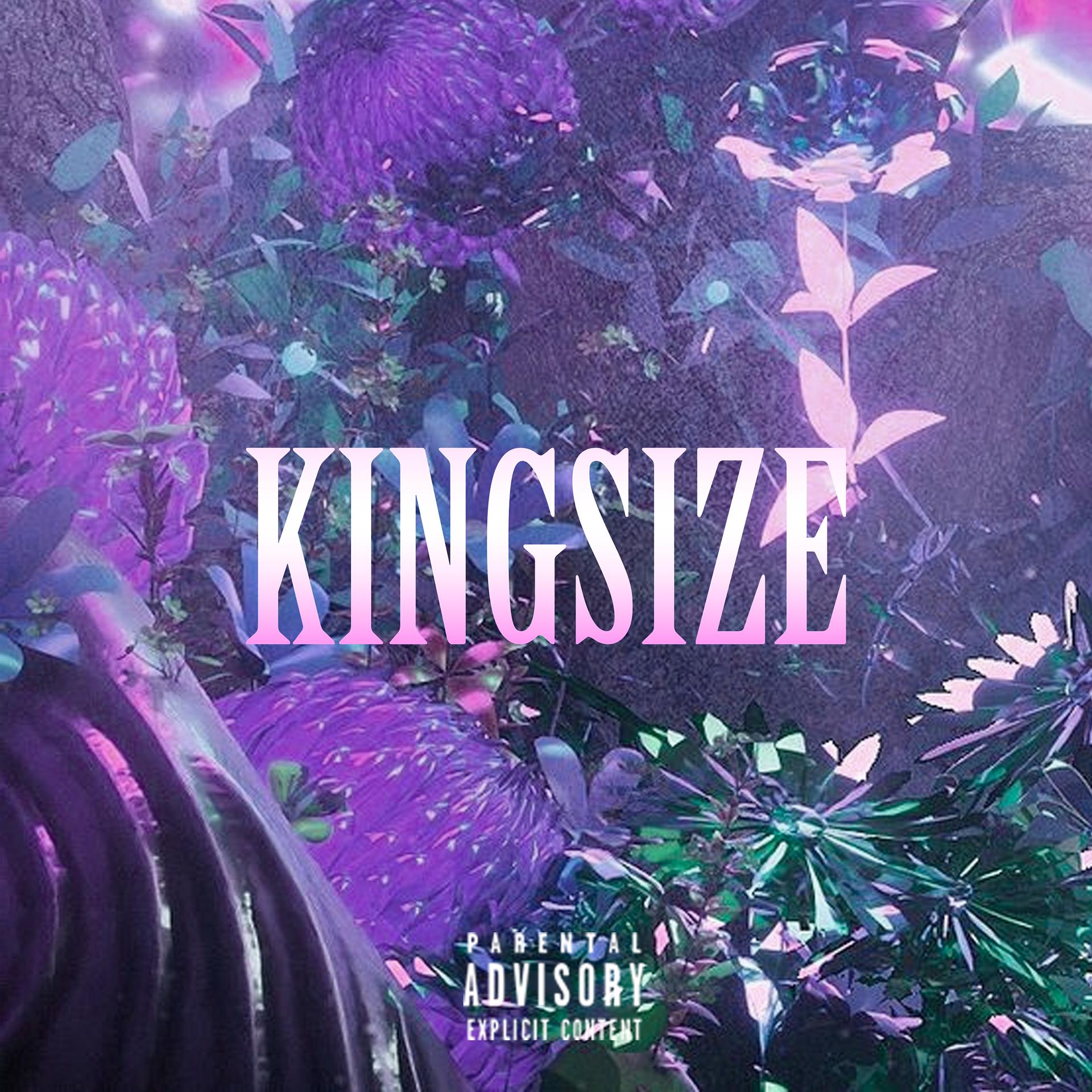 Постер альбома Kingsize