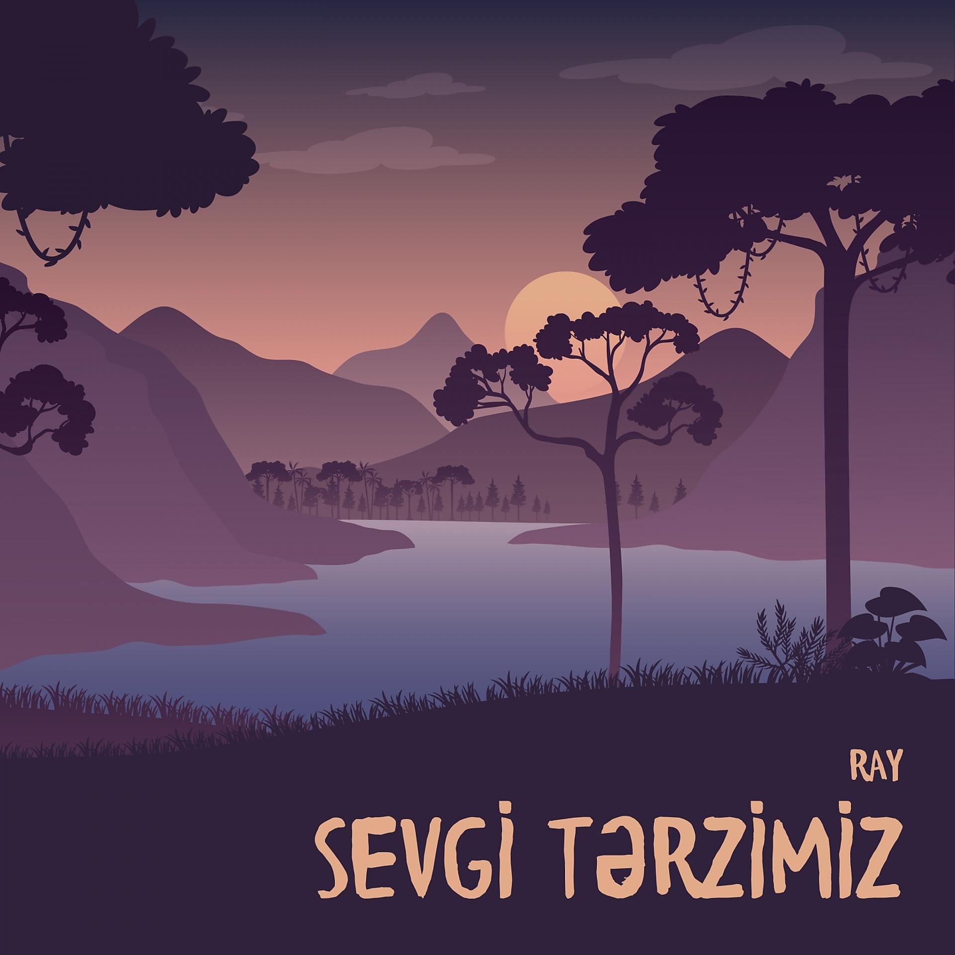 Постер альбома Sevgi Tərzimiz