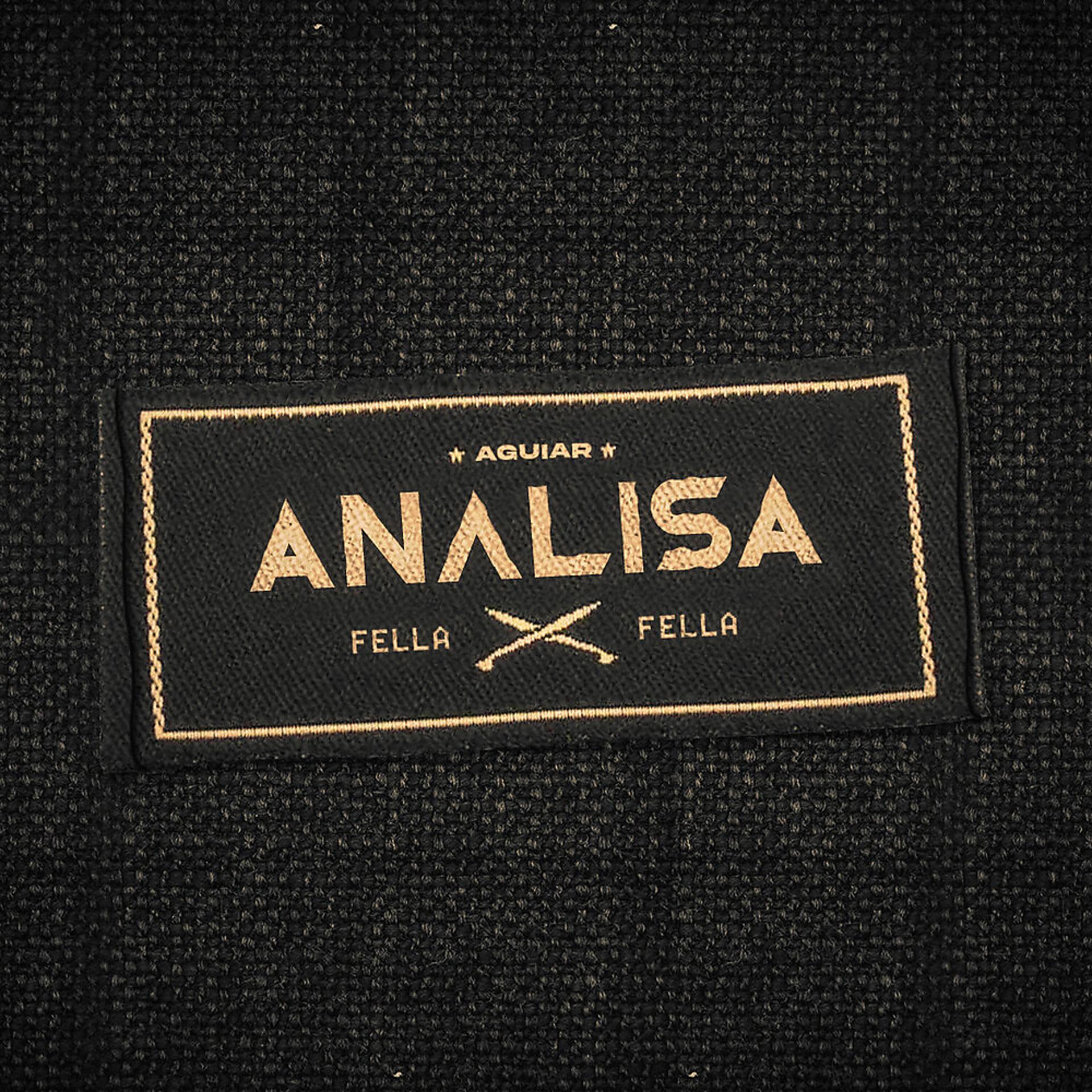 Постер альбома Analisa
