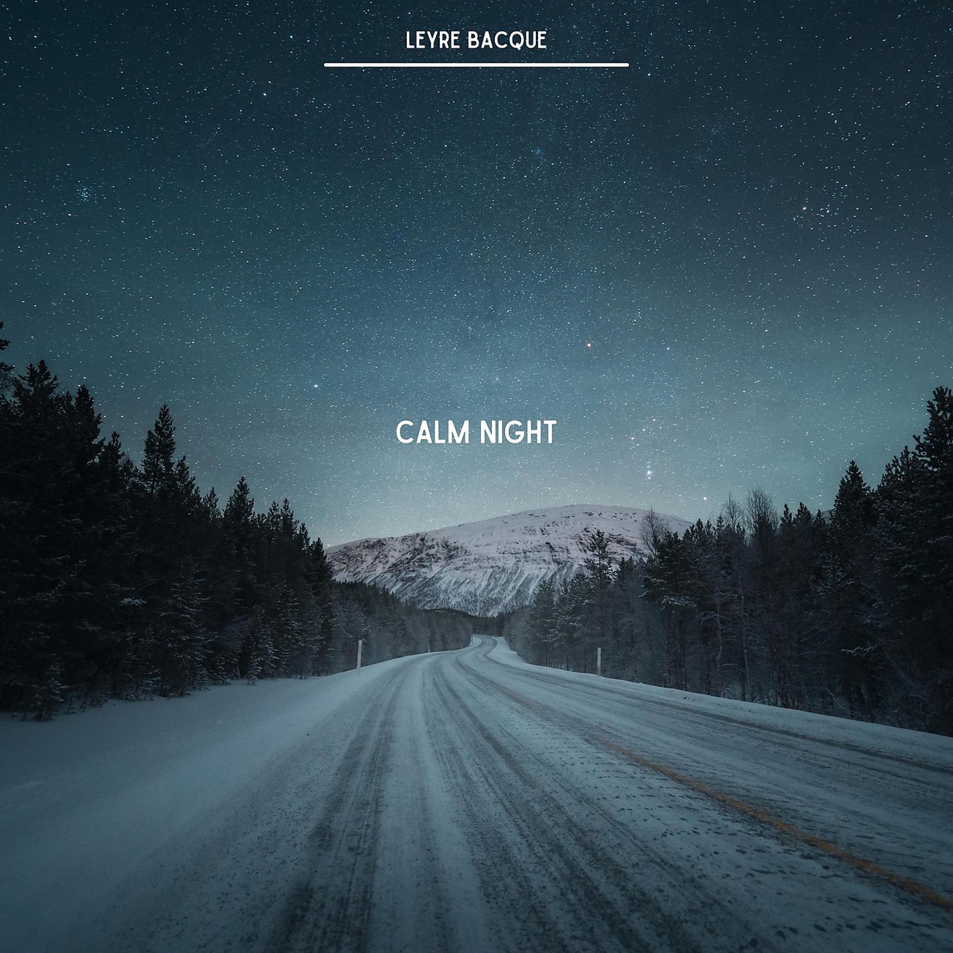 Постер альбома Calm Night