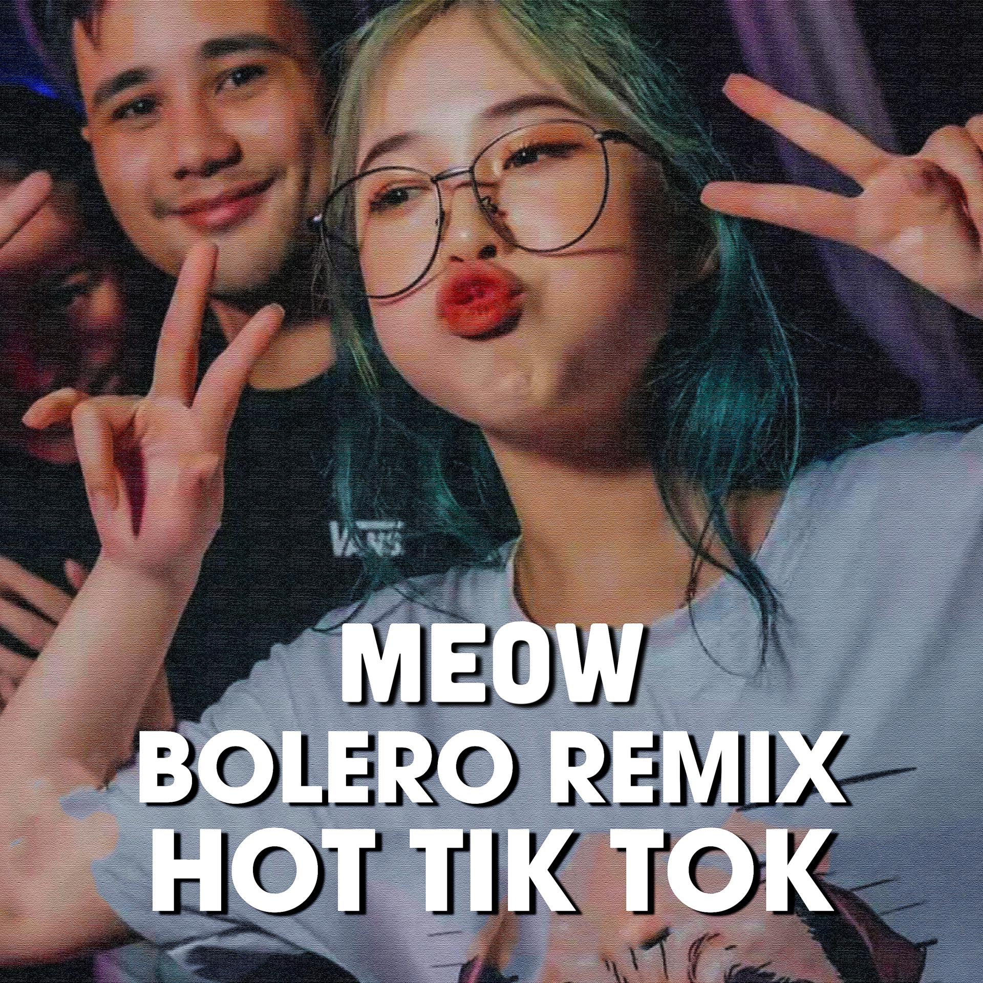 Постер альбома MEOW Bolero Remix Hot Tik Tok #2
