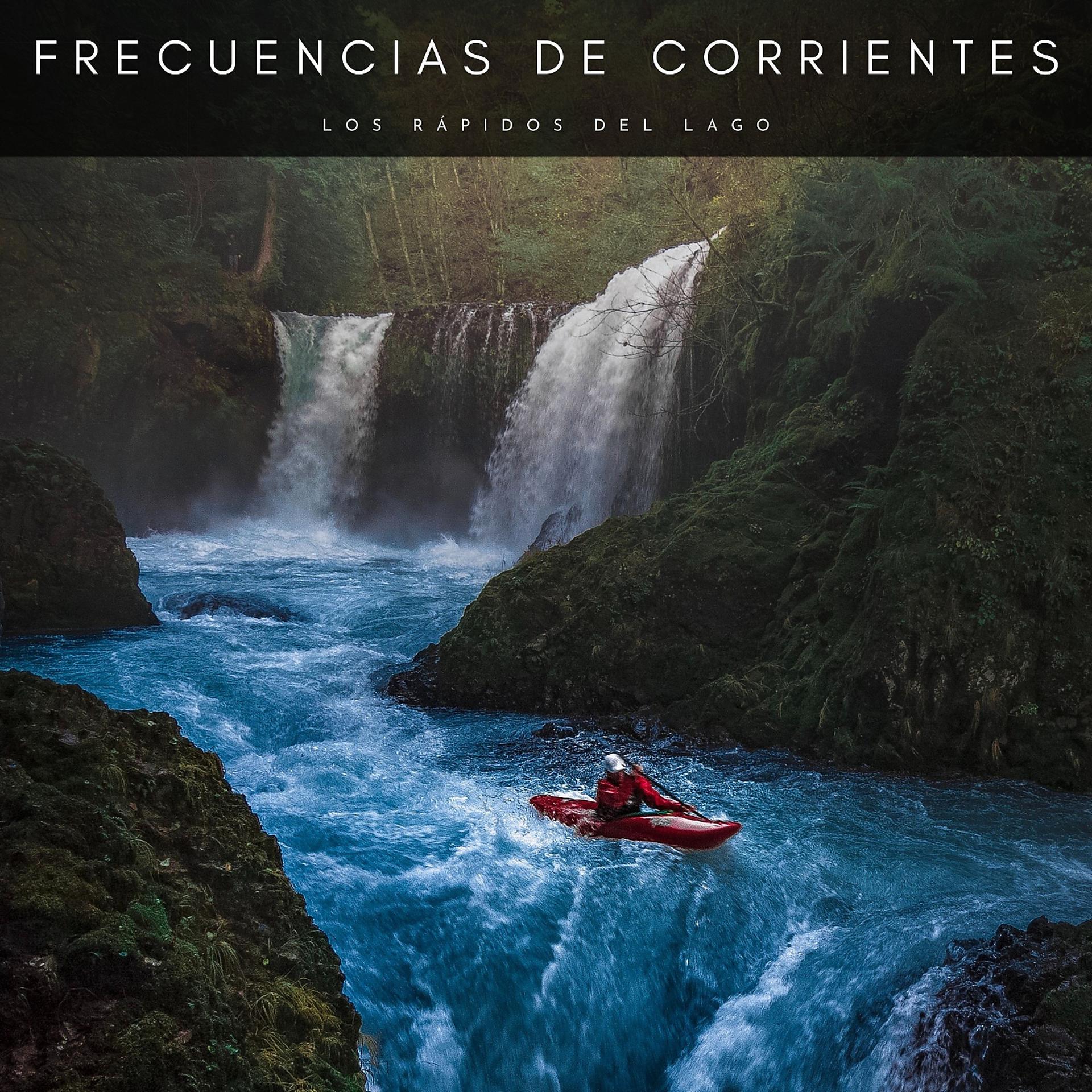 Постер альбома Frecuencias De Corrientes: Los Rápidos Del Lago
