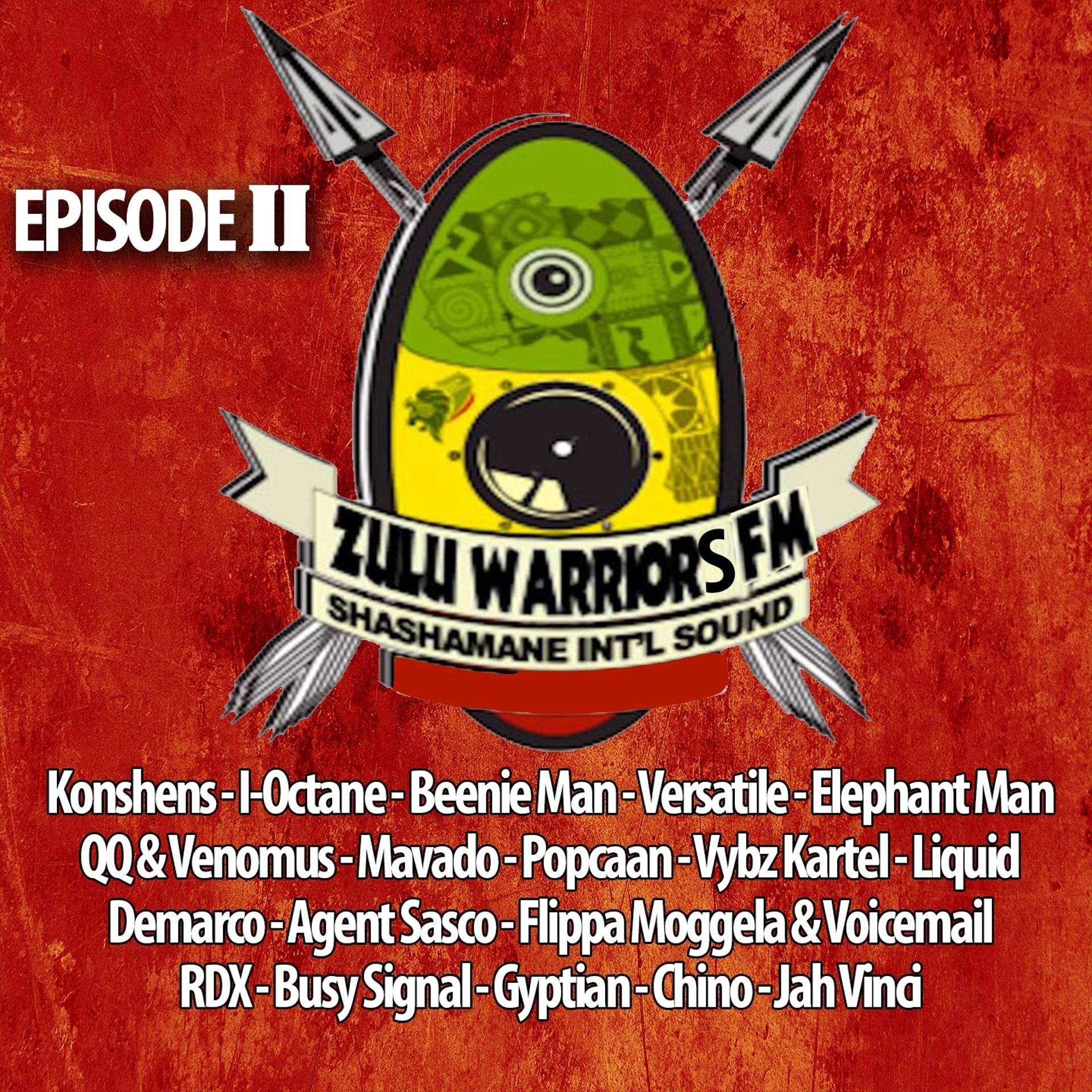 Постер альбома Zulu Warriors FM, Vol. 2