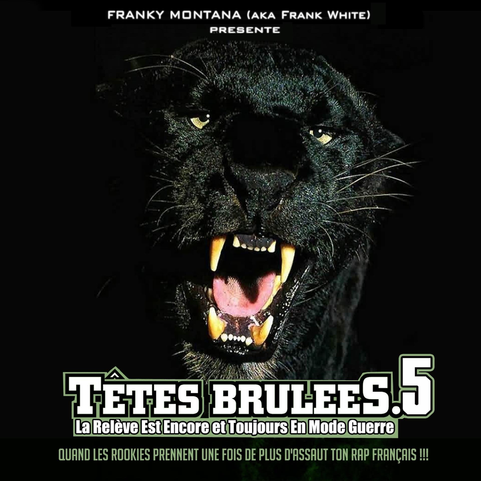 Постер альбома Têtes brûlées, vol. 5 (By Franky Montana)