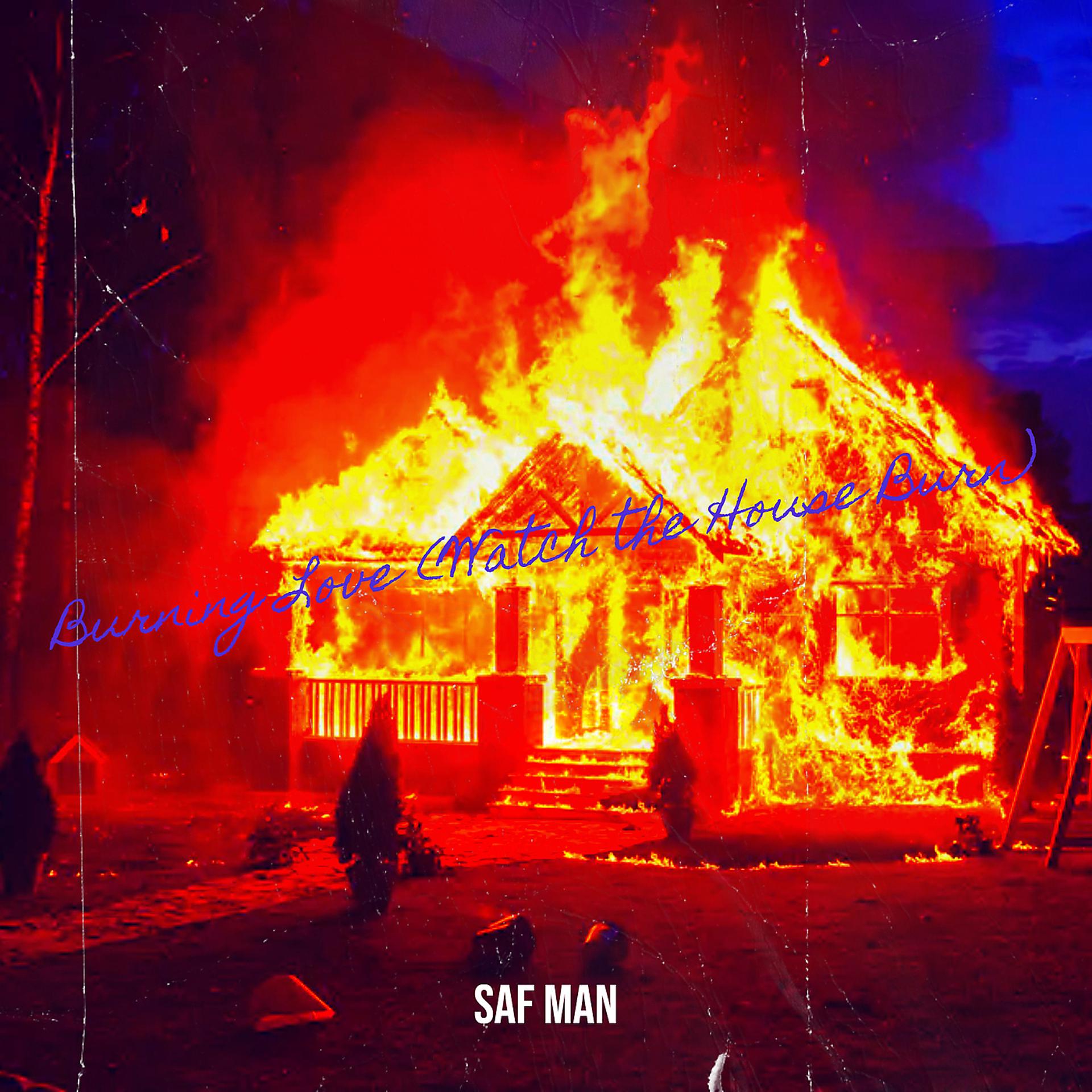 Постер альбома Burning Love (Watch the House Burn)