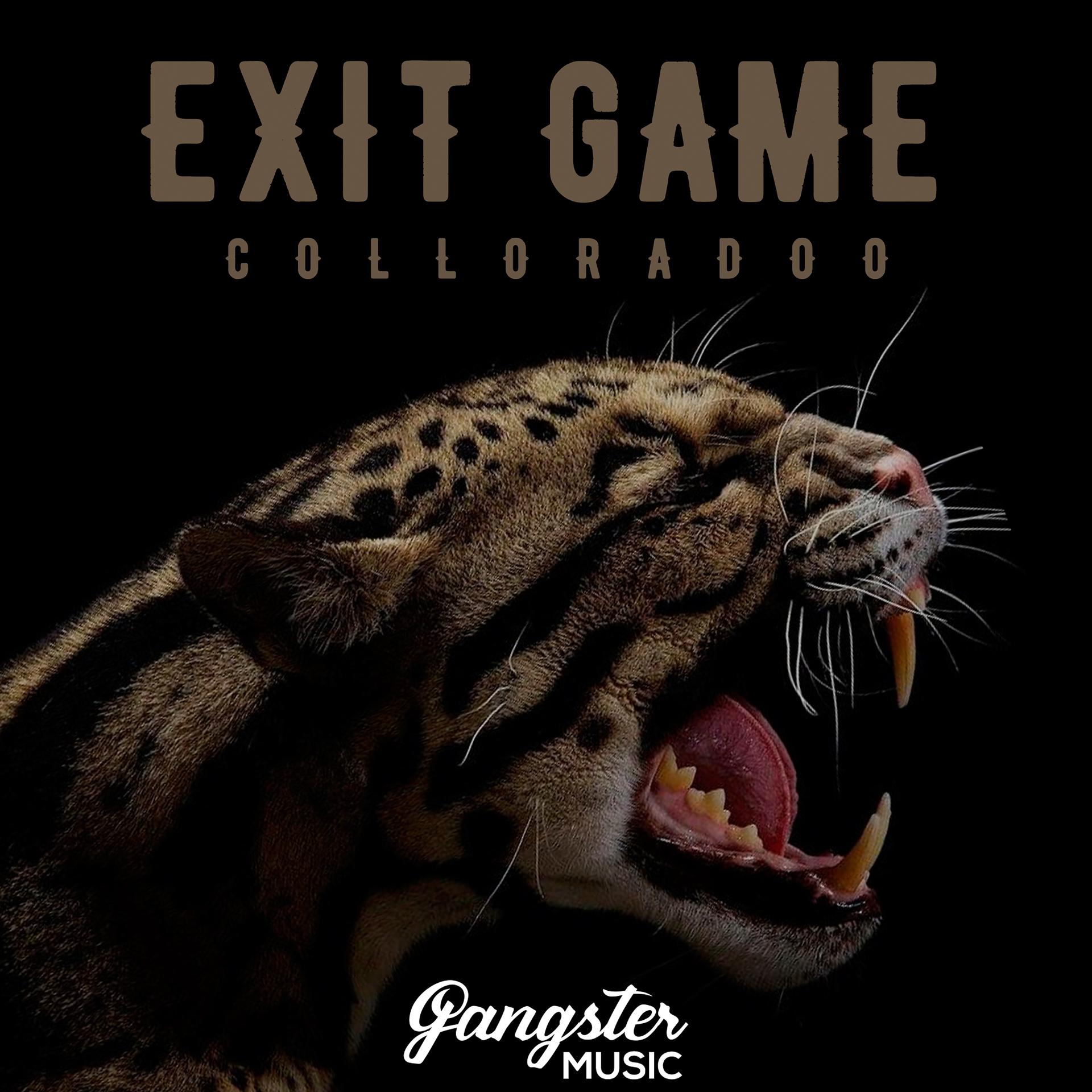 Постер альбома Exit Game