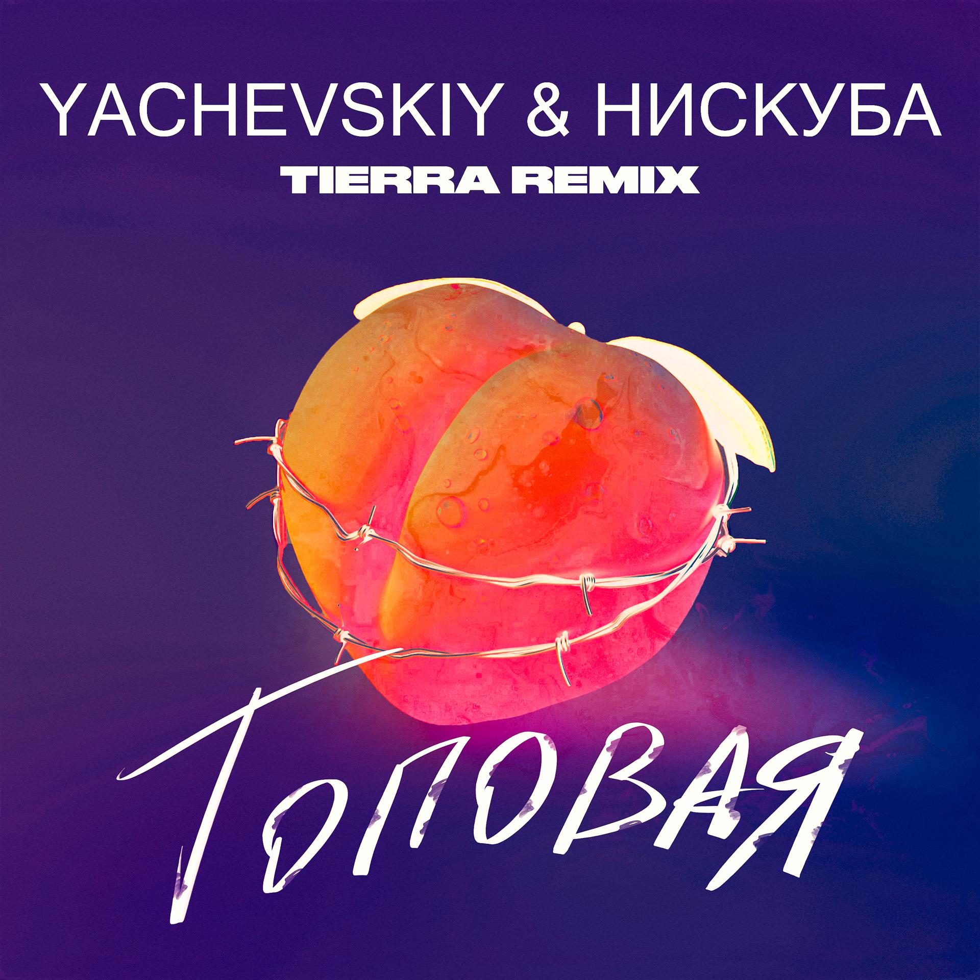 Постер альбома Топовая (TIERRA Remix)