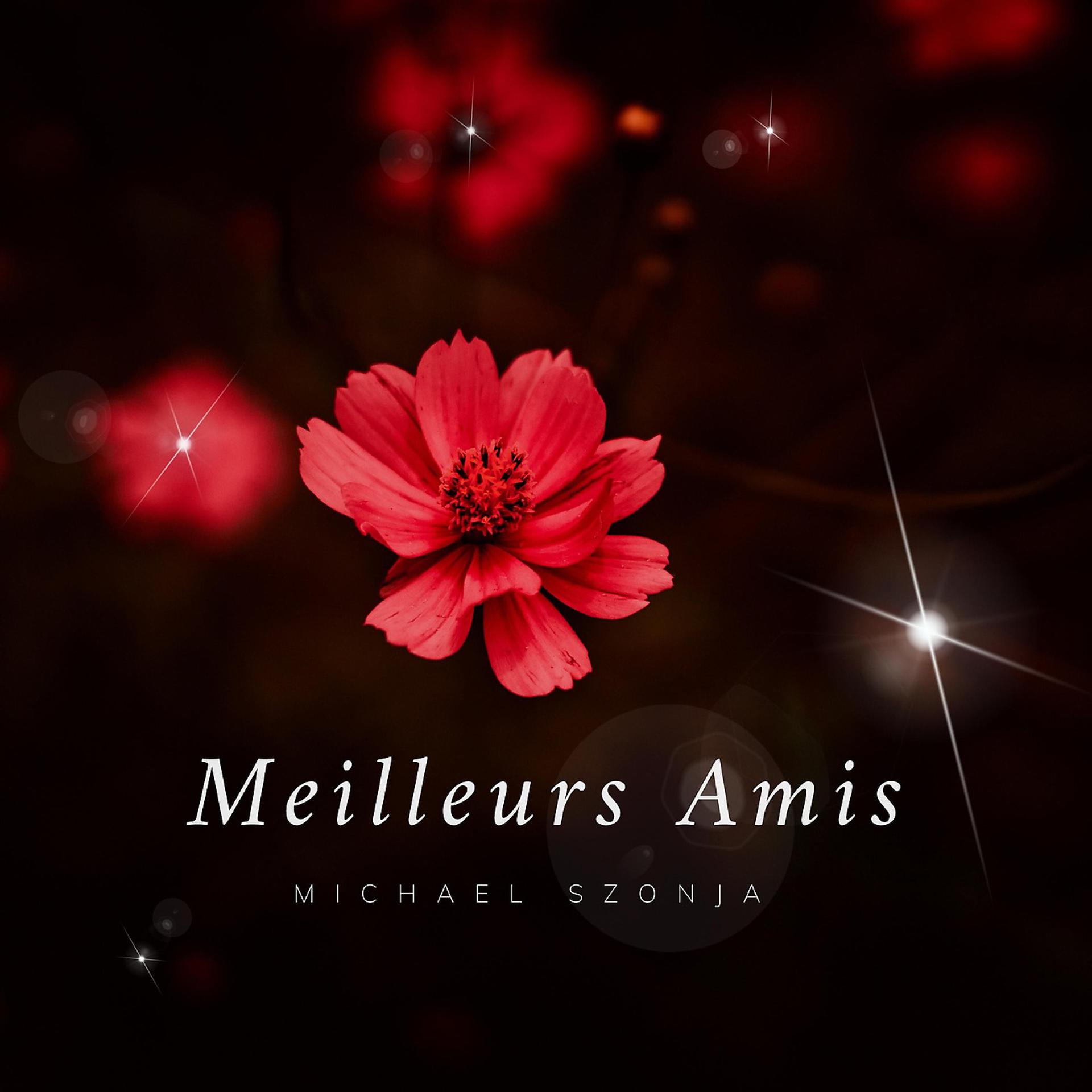 Постер альбома Meilleurs Amis