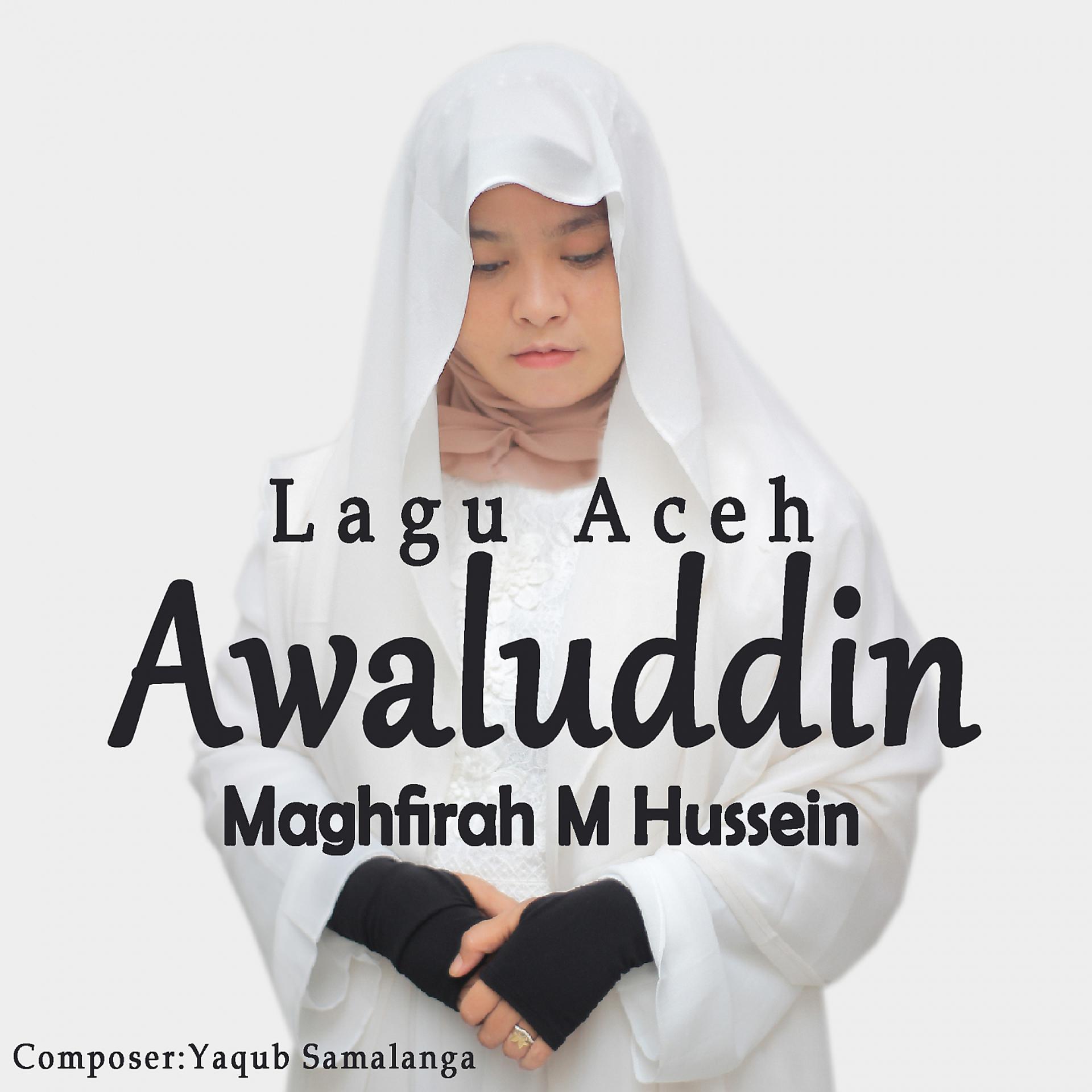 Постер альбома Awaluddin