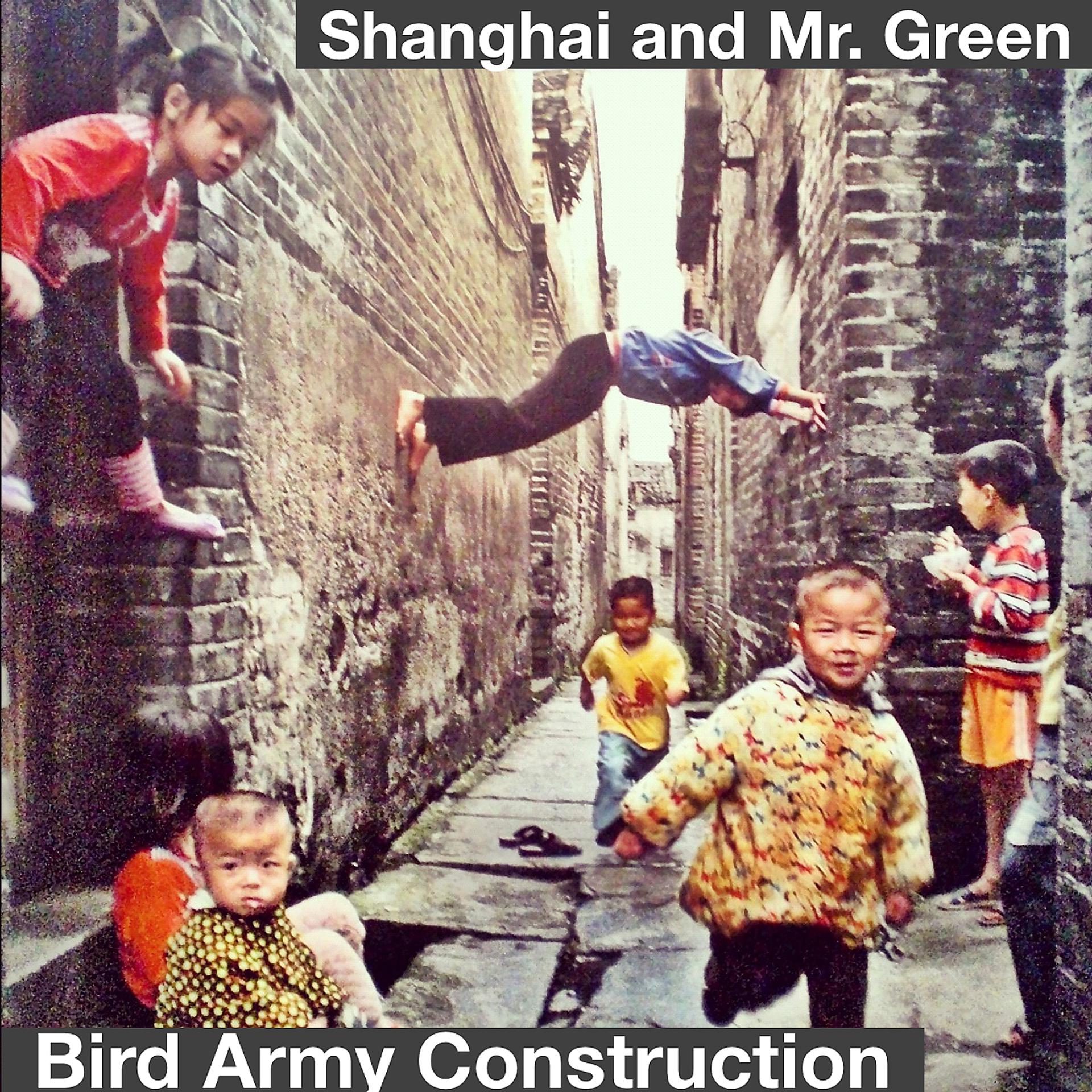 Постер альбома Bird Army Construction