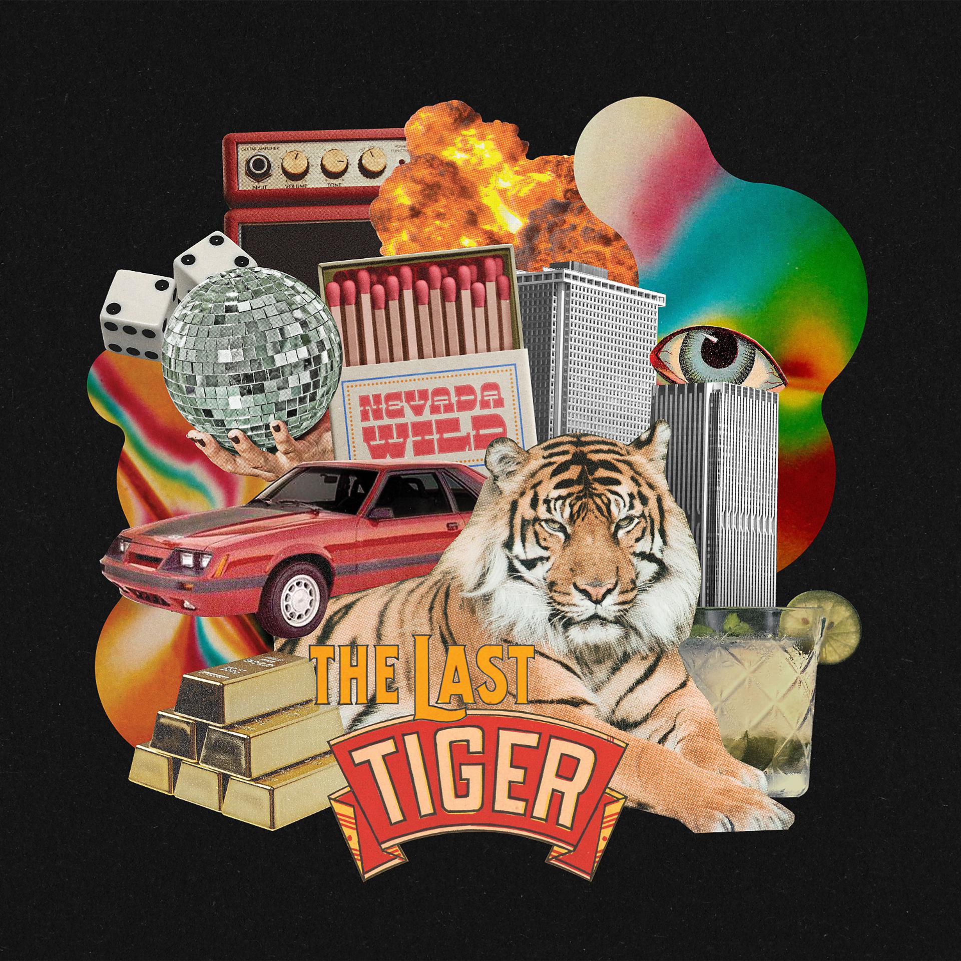 Постер альбома The Last Tiger